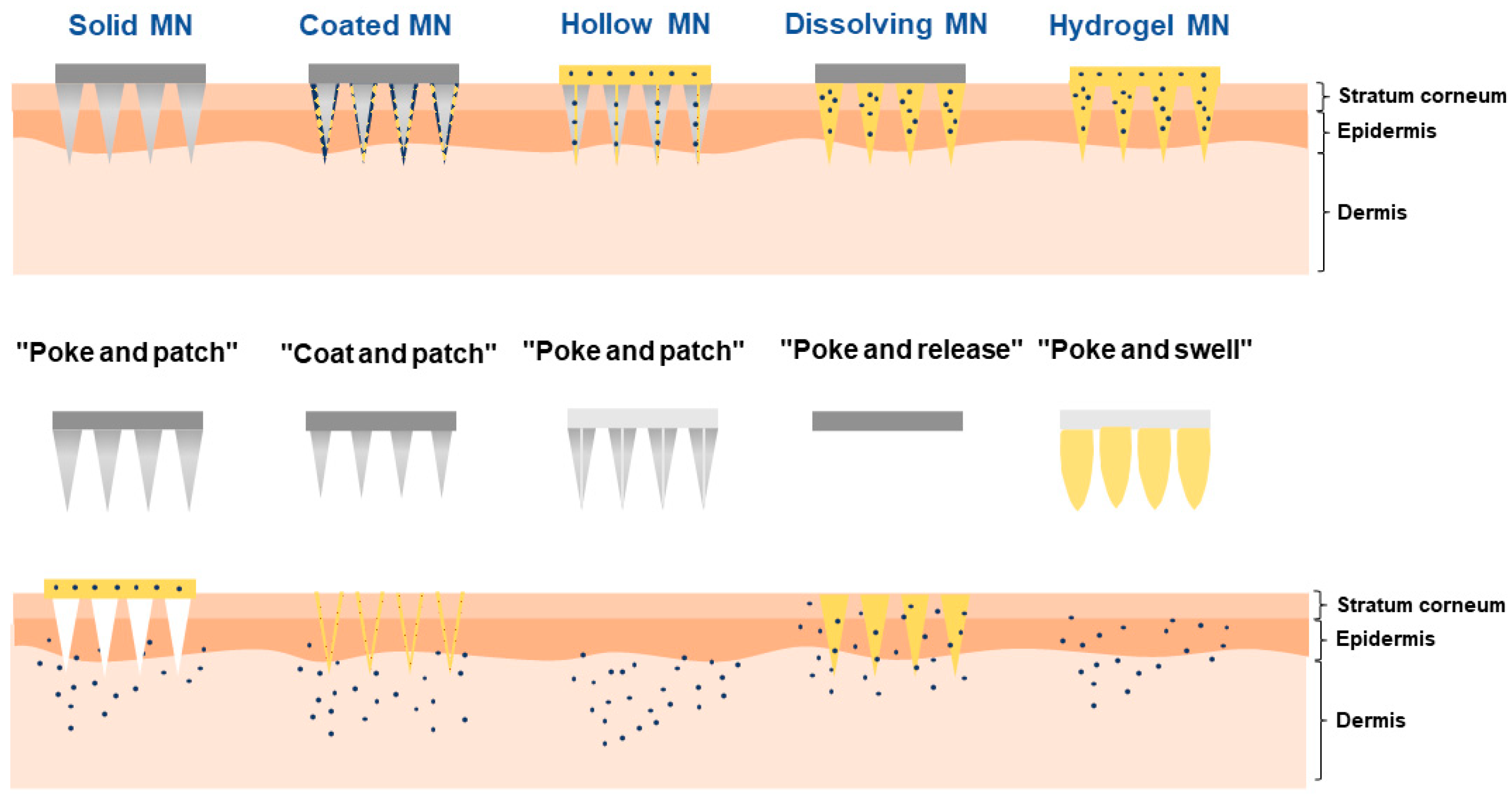 Pharmaceutics 16 00286 g001