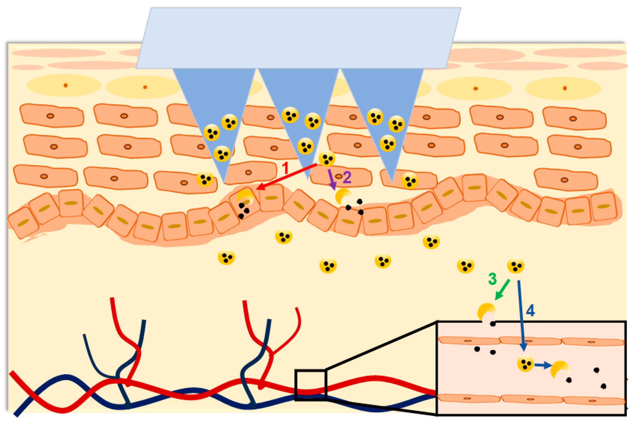 Pharmaceutics 16 00286 g004