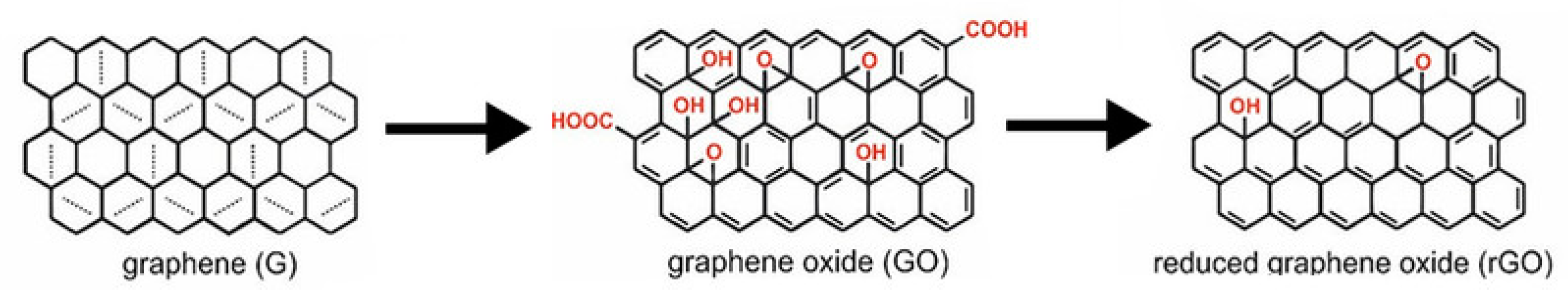 Pharmaceutics 16 00288 g007