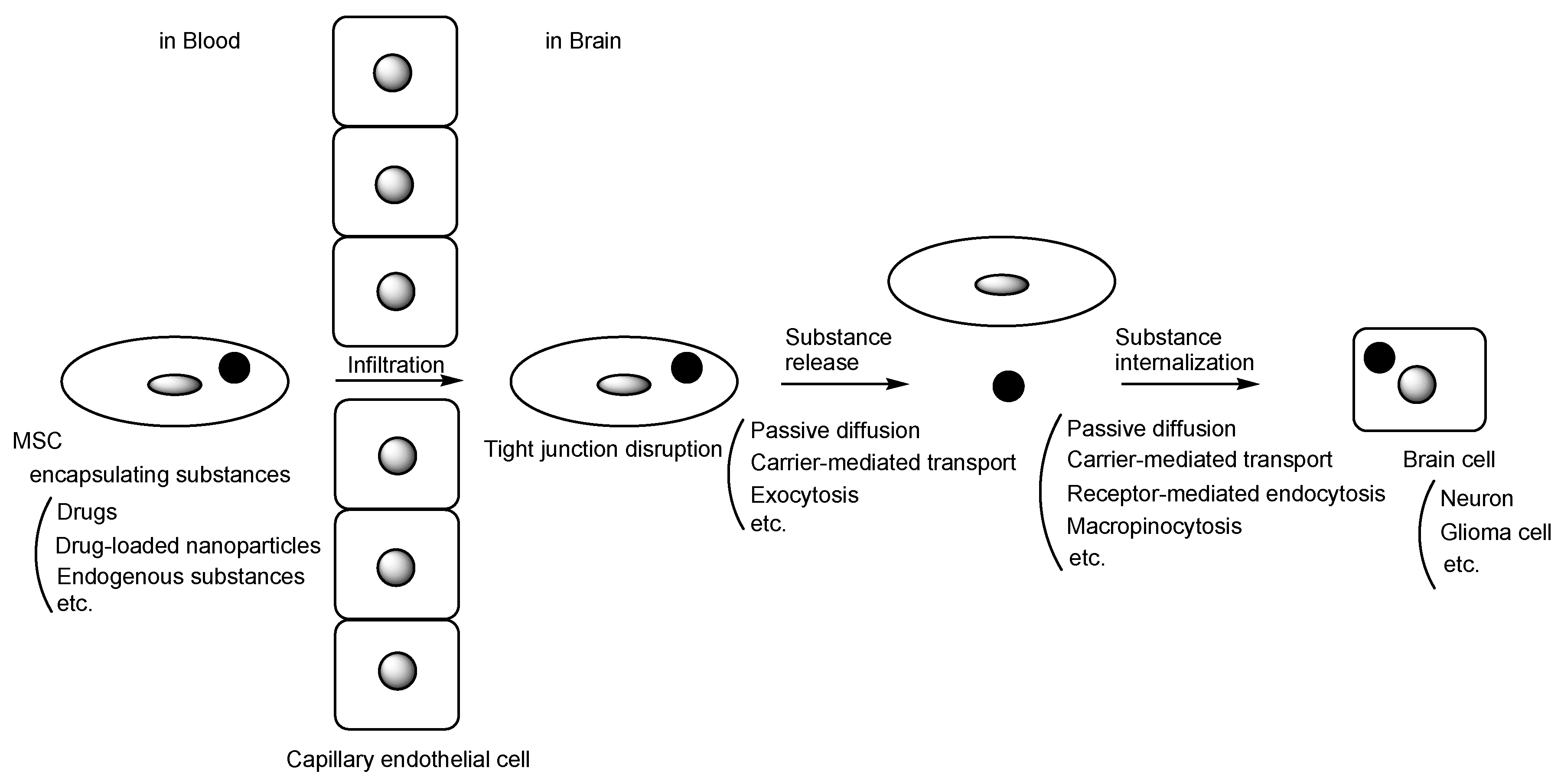 Pharmaceutics 16 00289 g001 Pharmaceutics 16 00289 g001