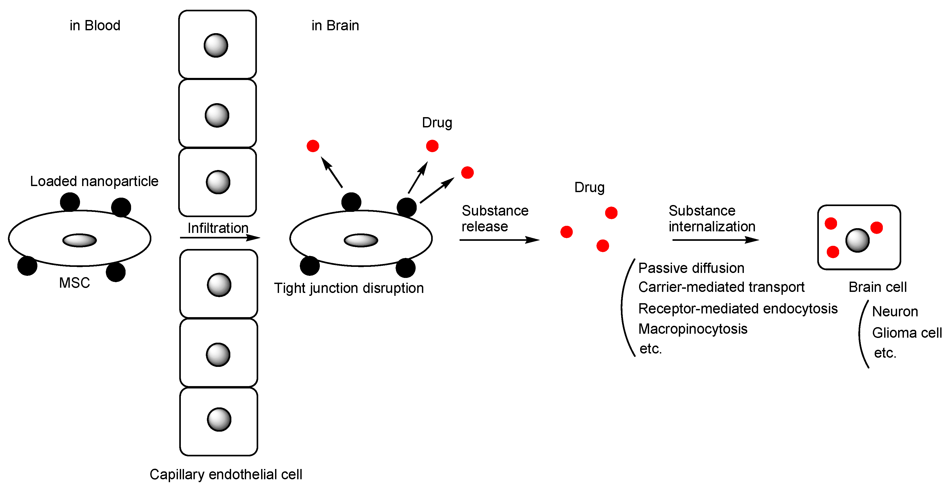 Pharmaceutics 16 00289 g005 Pharmaceutics 16 00289 g005