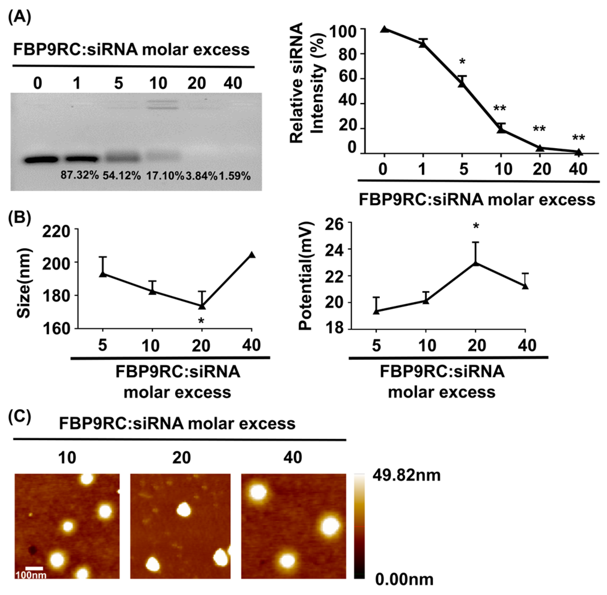 Pharmaceutics 16 00290 g001 Pharmaceutics 16 00290 g001
