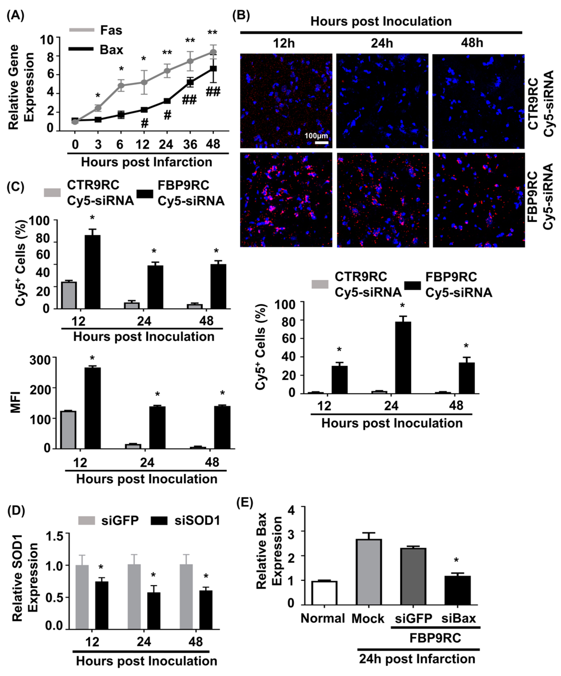 Pharmaceutics 16 00290 g004 Pharmaceutics 16 00290 g004