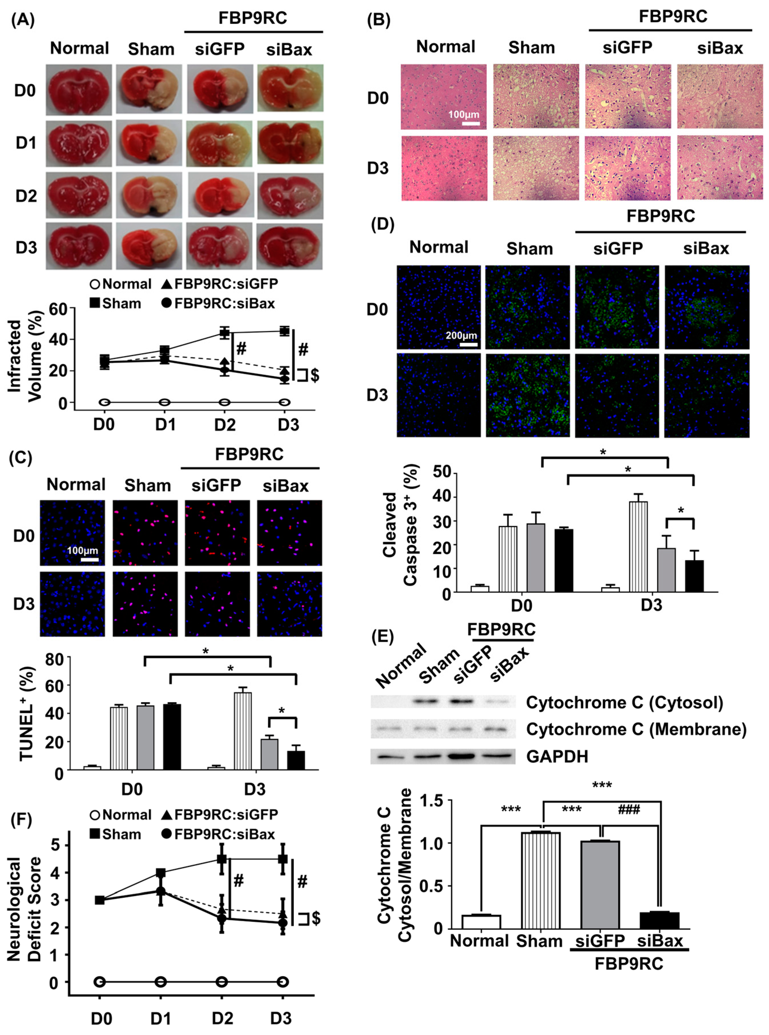 Pharmaceutics 16 00290 g005 Pharmaceutics 16 00290 g005