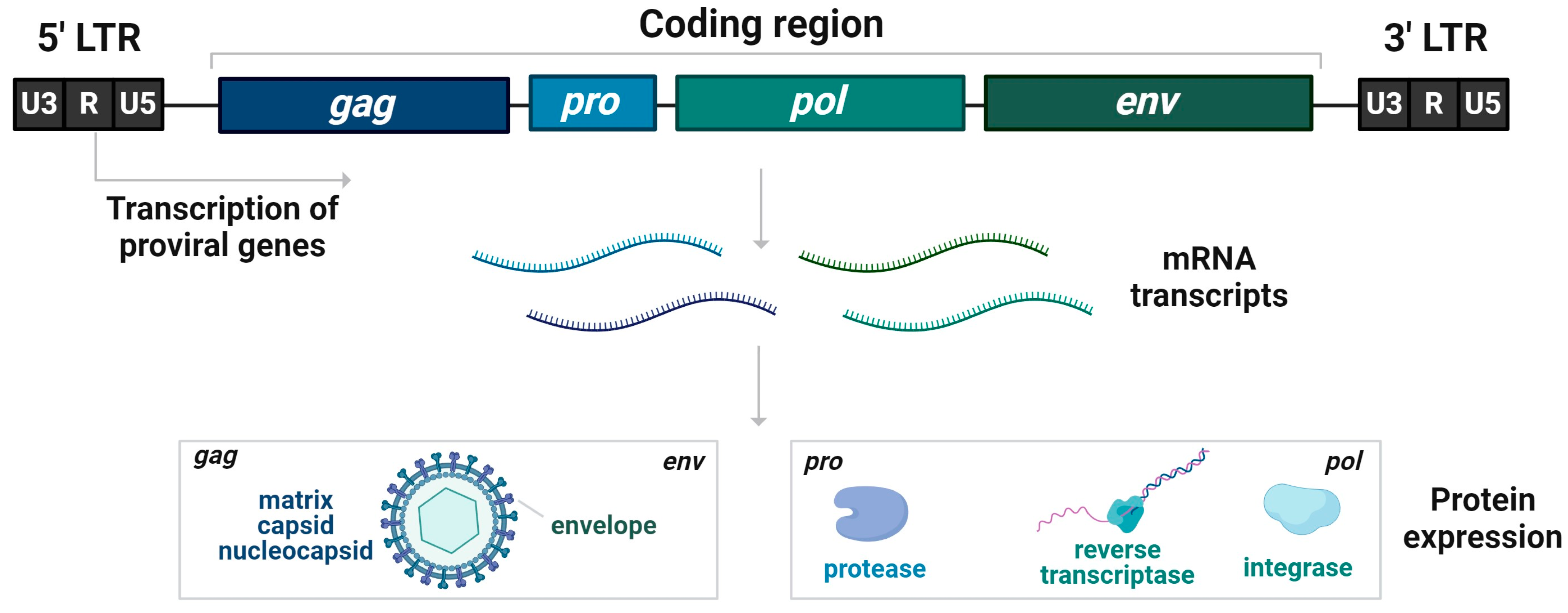 Pharmaceutics 16 00292 g001