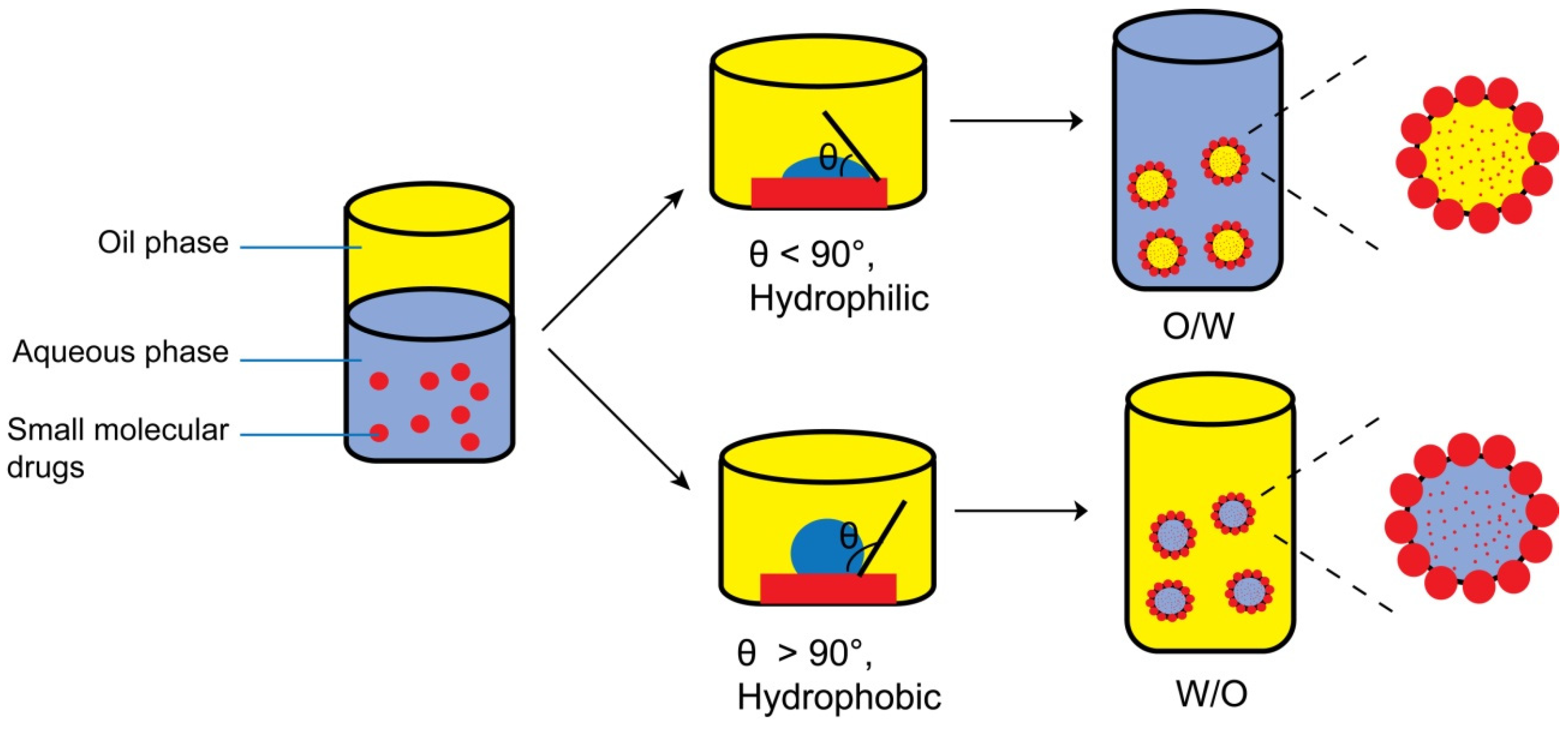 Pharmaceutics 16 00293 g001