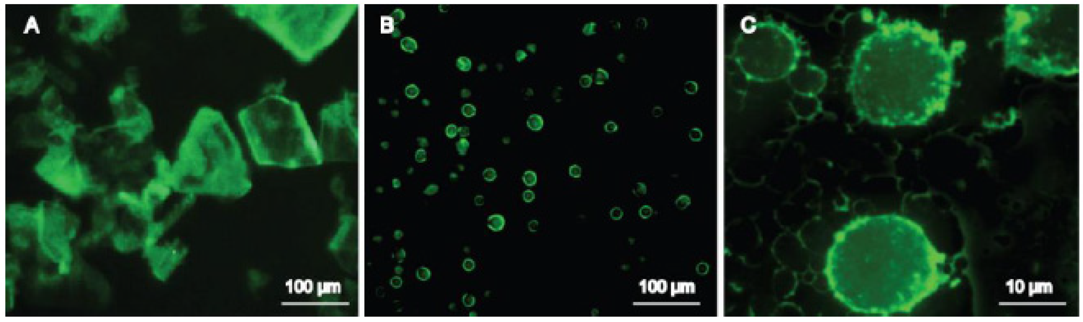 Pharmaceutics 16 00293 g003