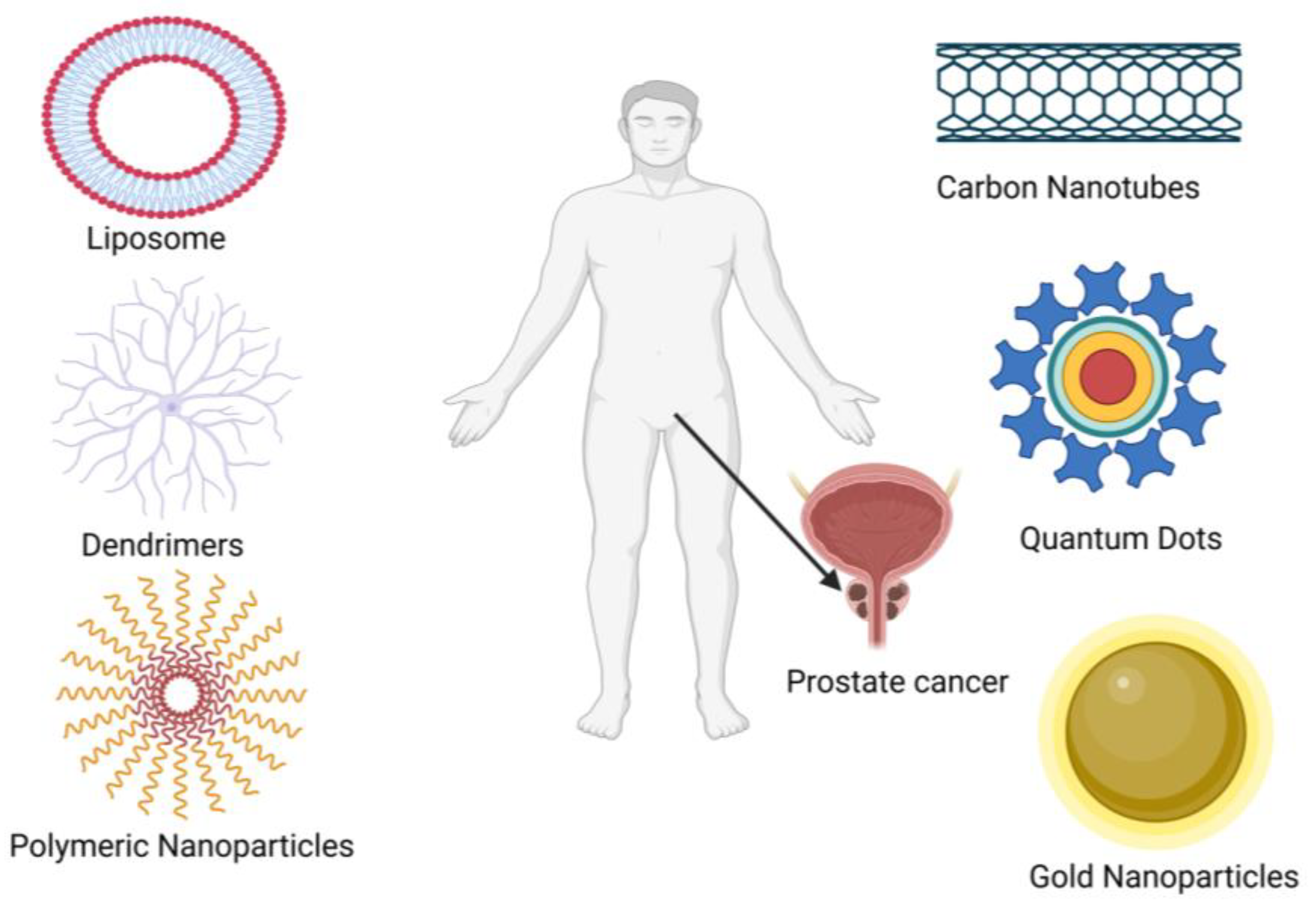 Pharmaceutics 16 00297 g005