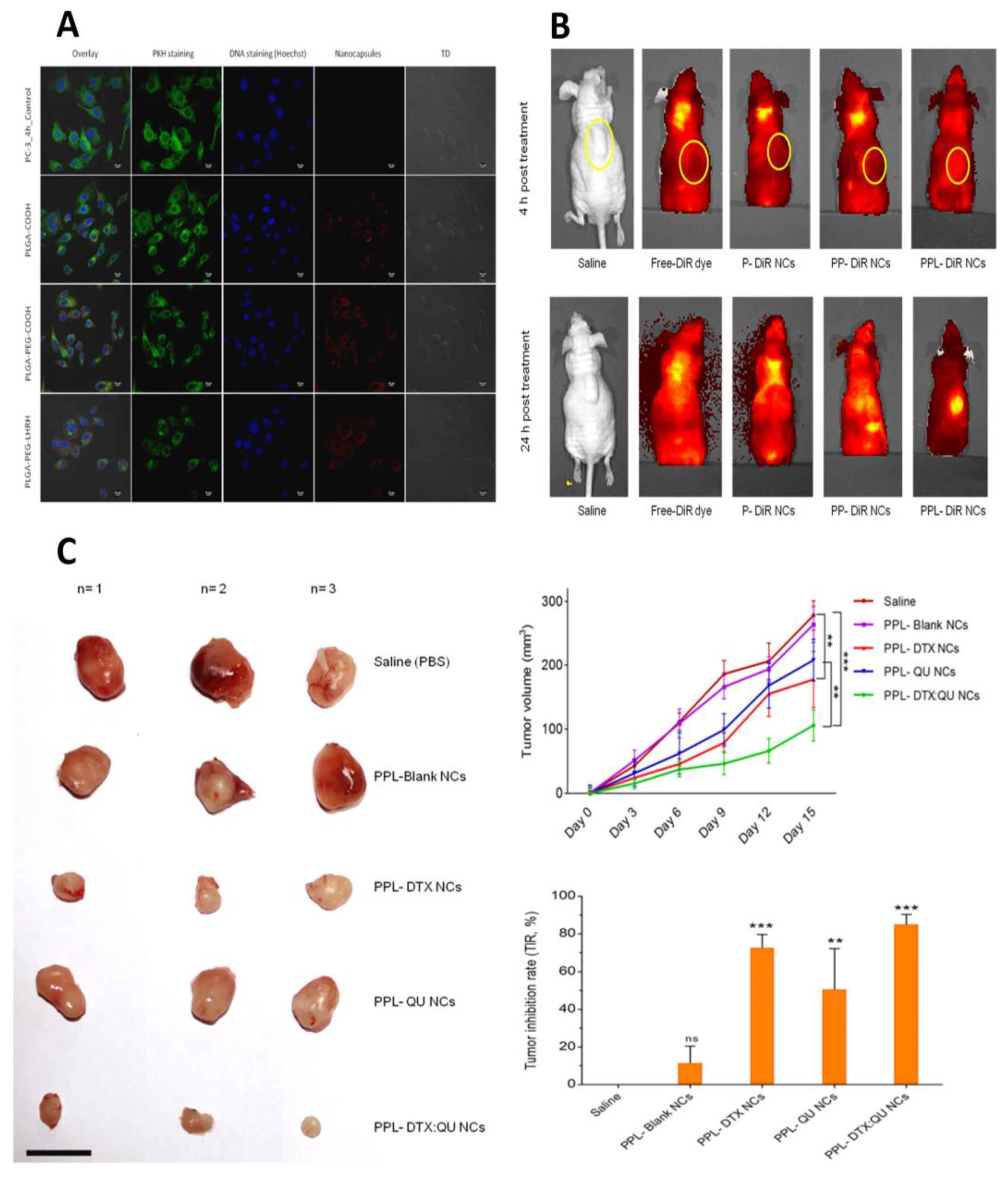 Pharmaceutics 16 00297 g009