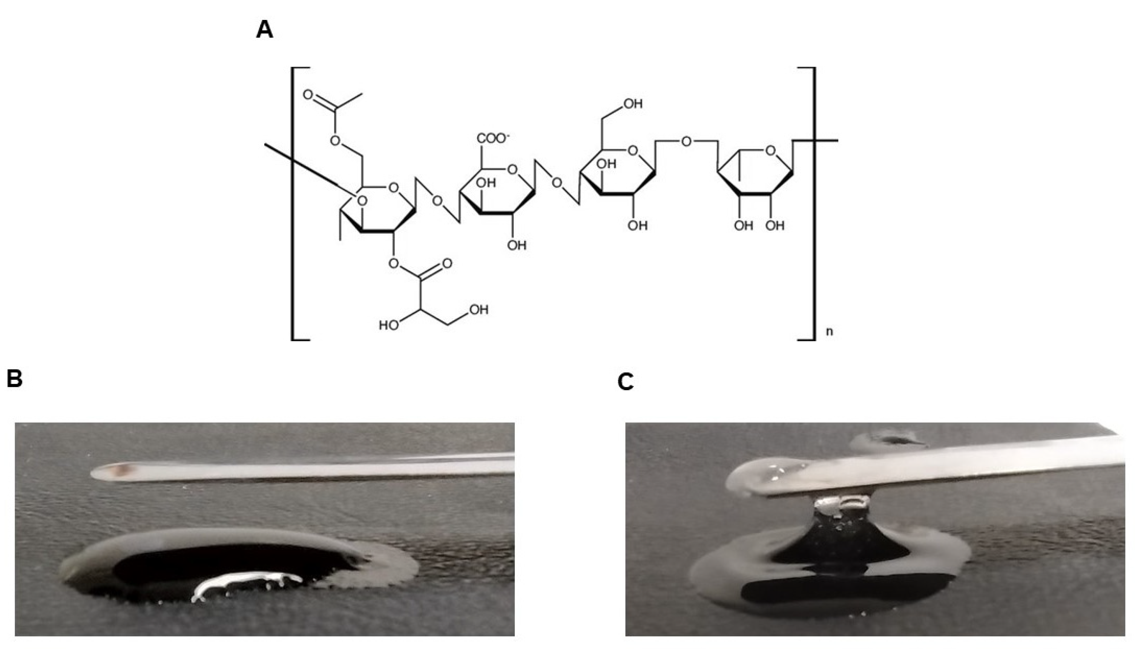 Pharmaceutics 16 00298 g001