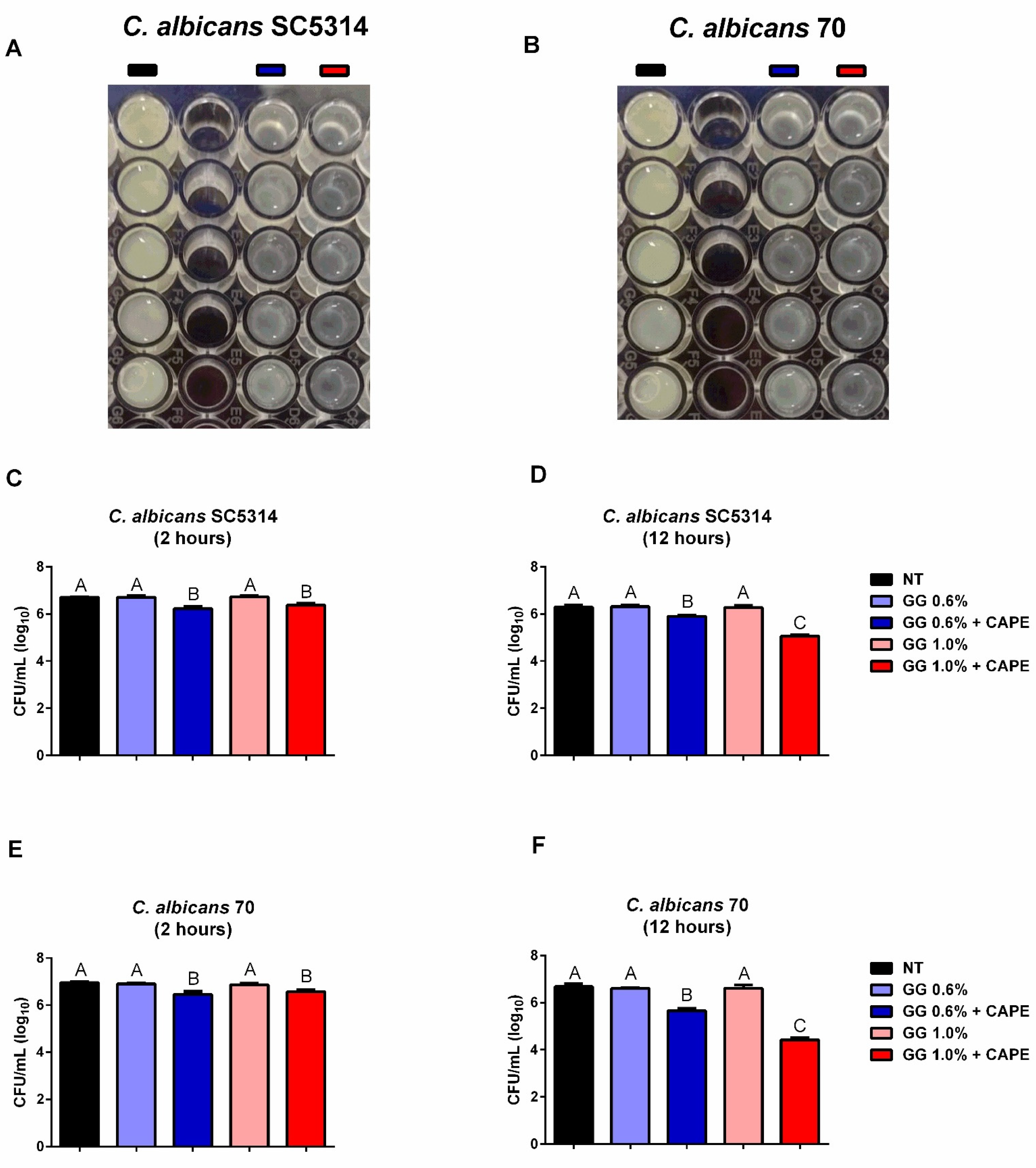 Pharmaceutics 16 00298 g005