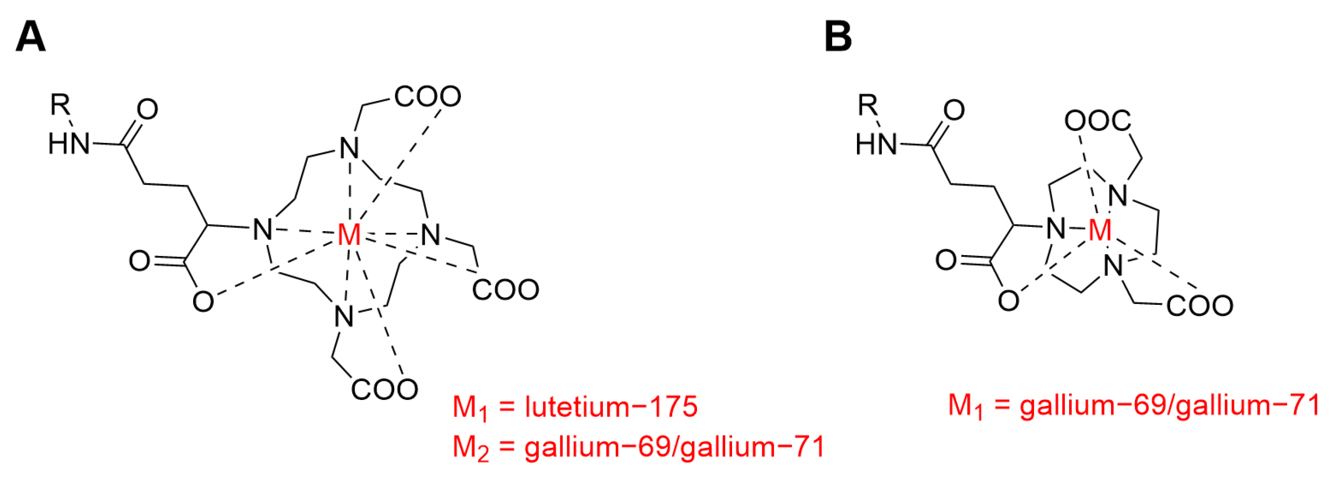 Pharmaceutics 16 00299 g001