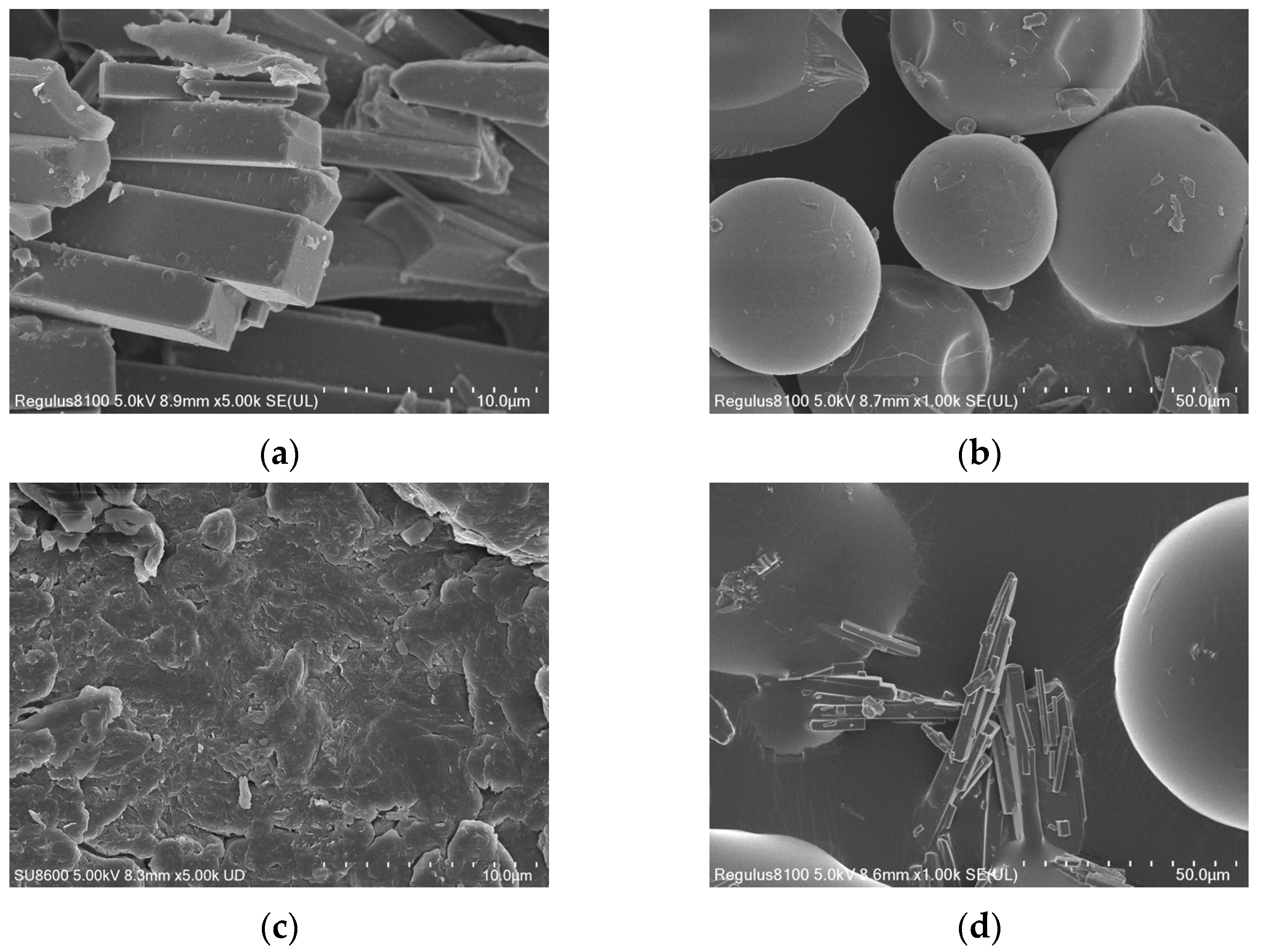 Pharmaceutics 16 00306 g006