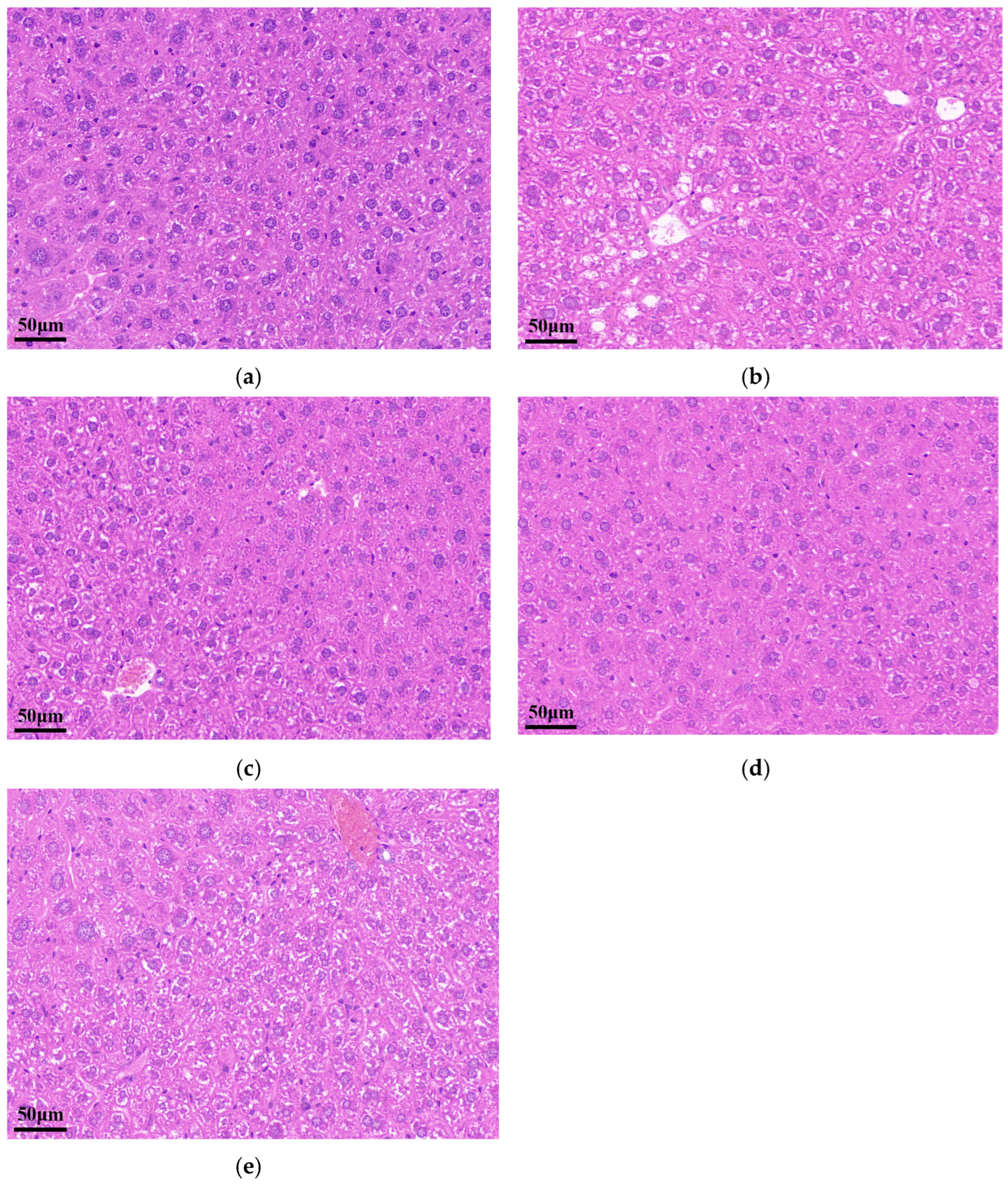 Pharmaceutics 16 00306 g010