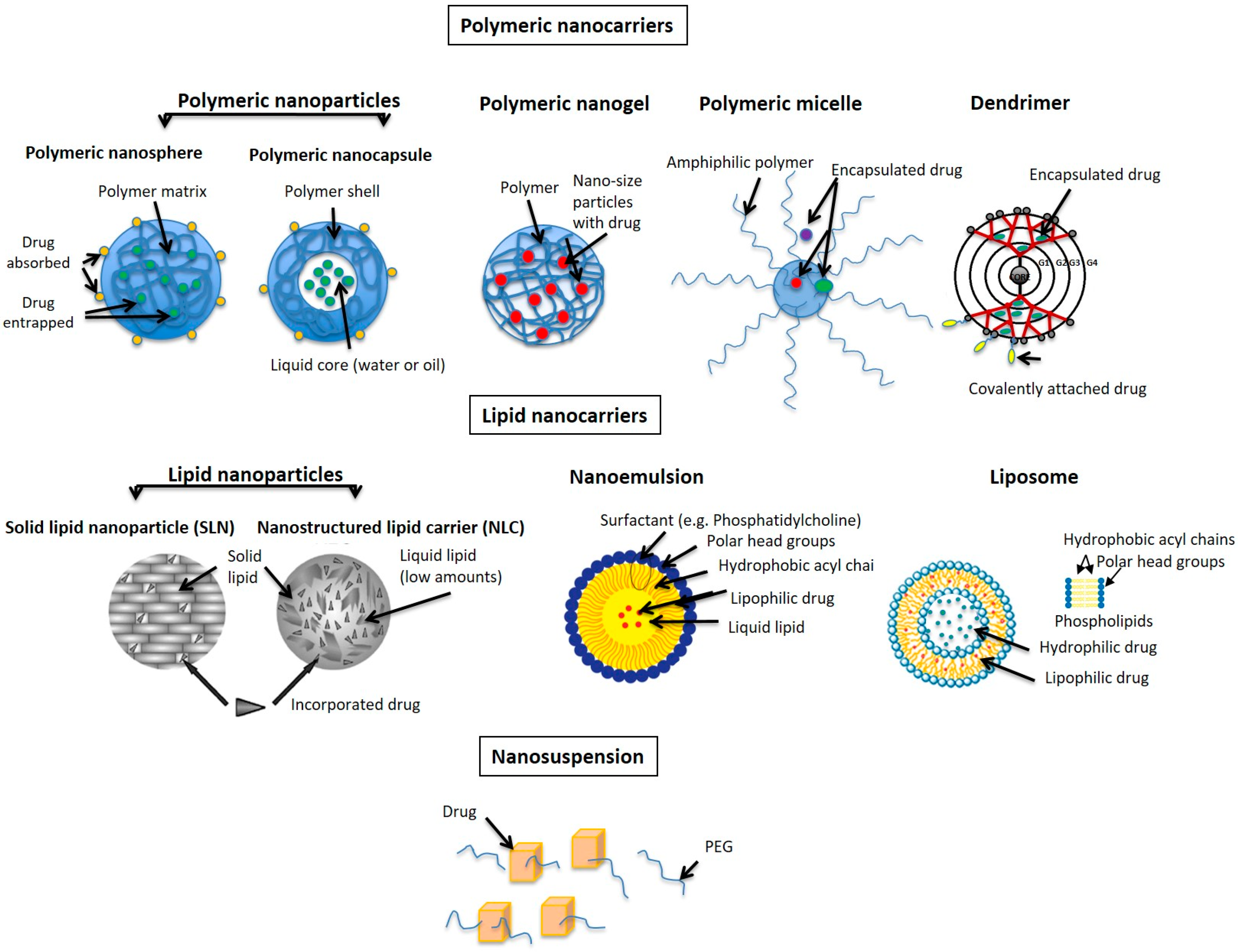 Pharmaceutics 16 00309 g003 Pharmaceutics 16 00309 g003