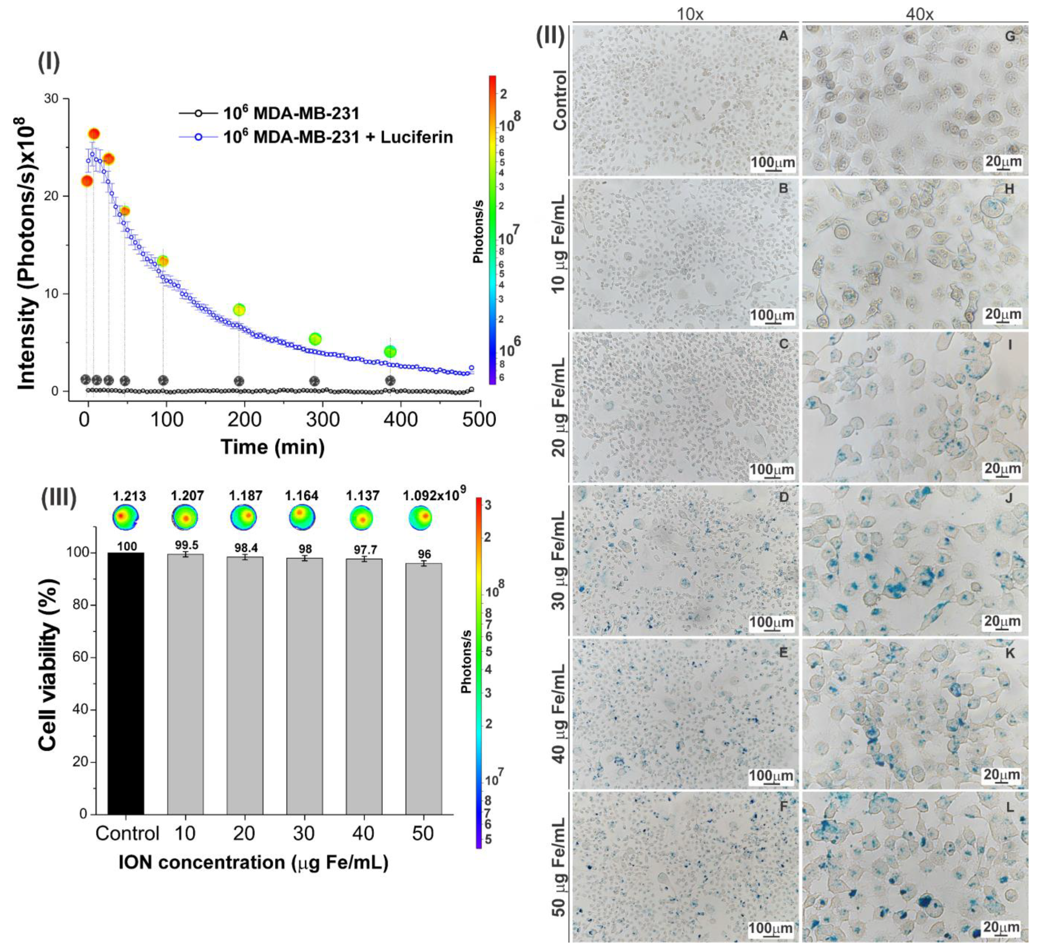 Pharmaceutics 16 00310 g004