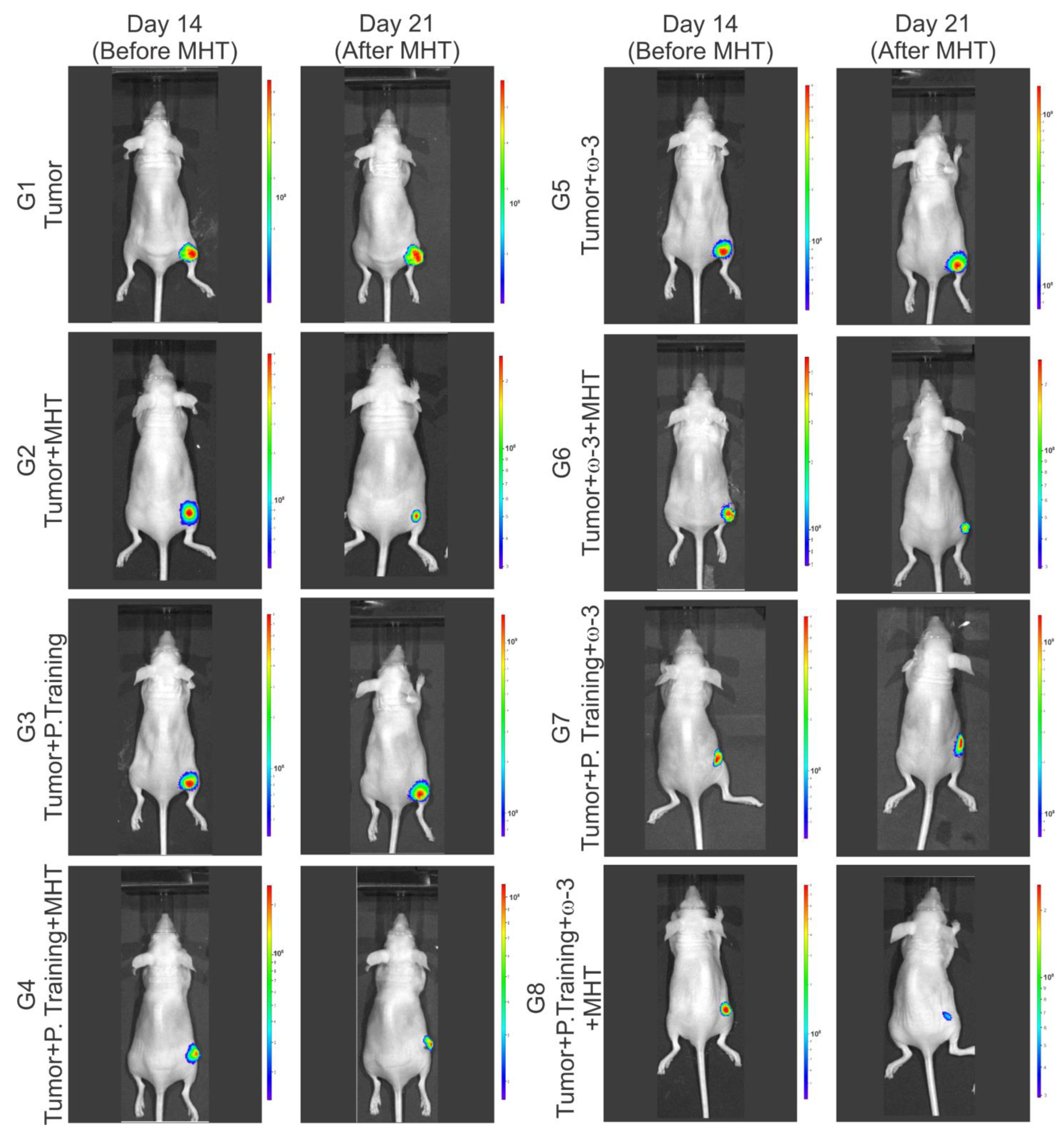 Pharmaceutics 16 00310 g007