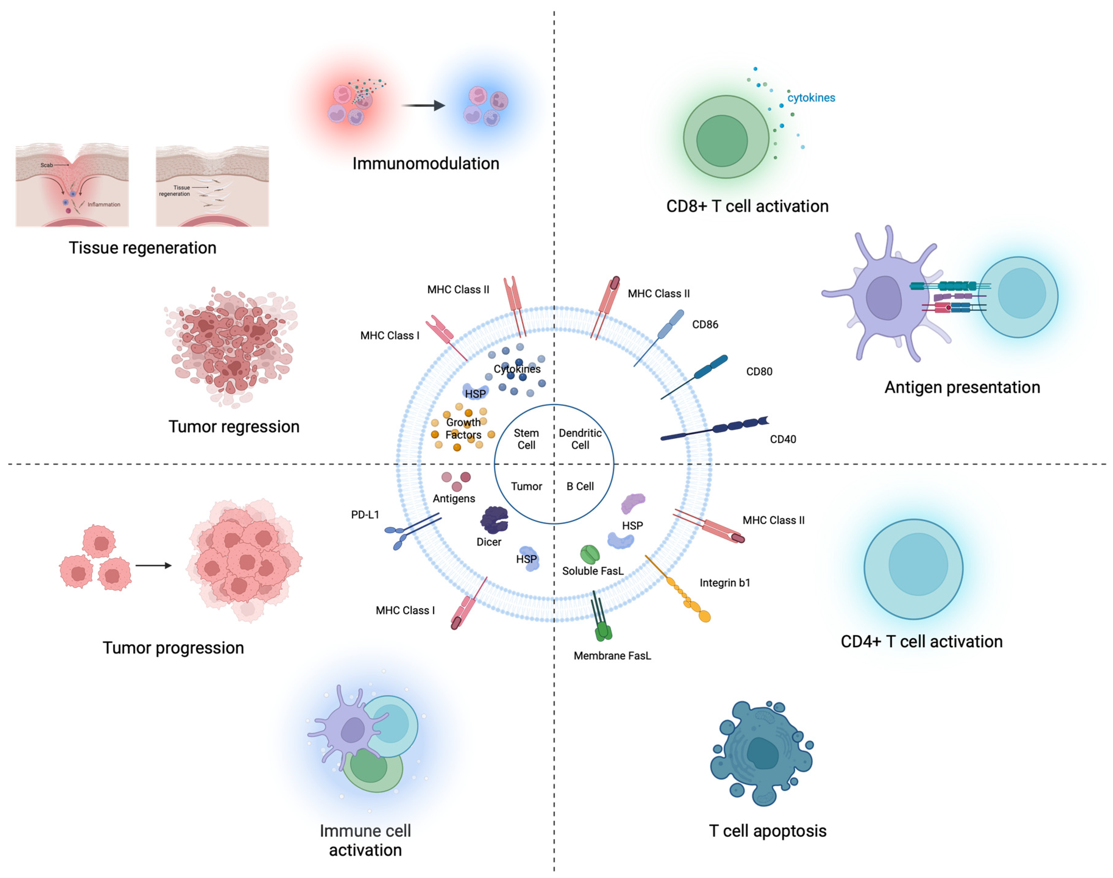 Pharmaceutics 16 00311 g001