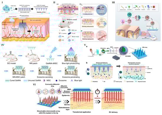 Pharmaceutics 16 00326 g002