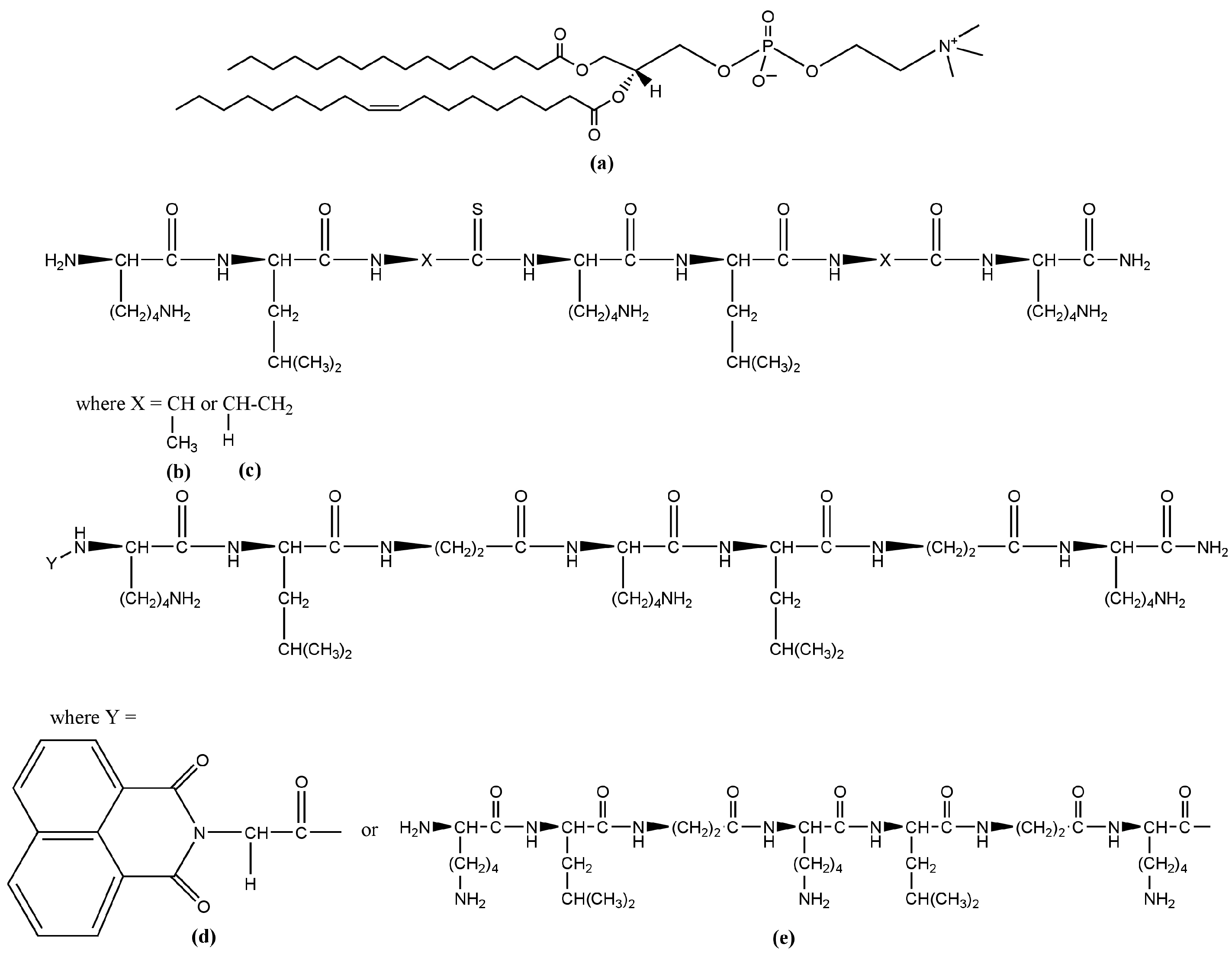 Pharmaceutics 16 00340 g001