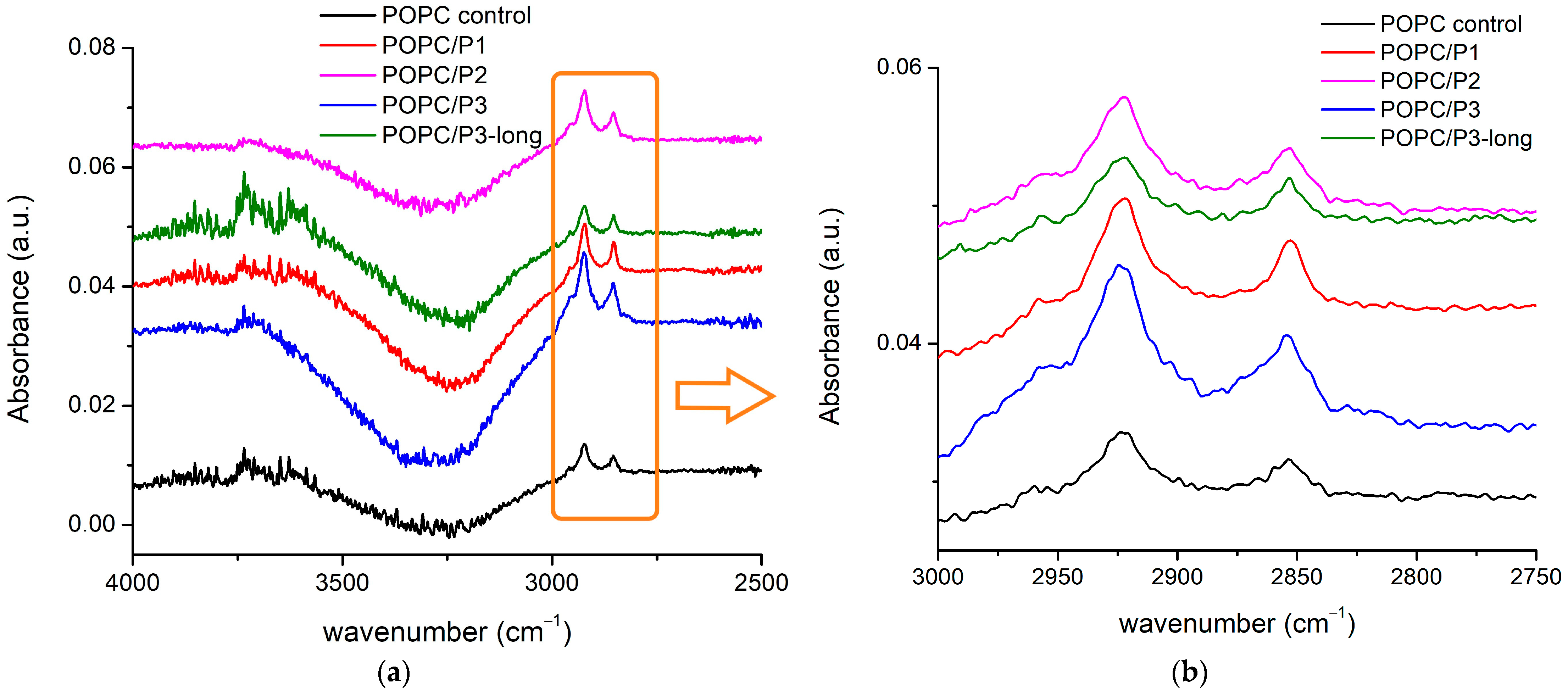 Pharmaceutics 16 00340 g002