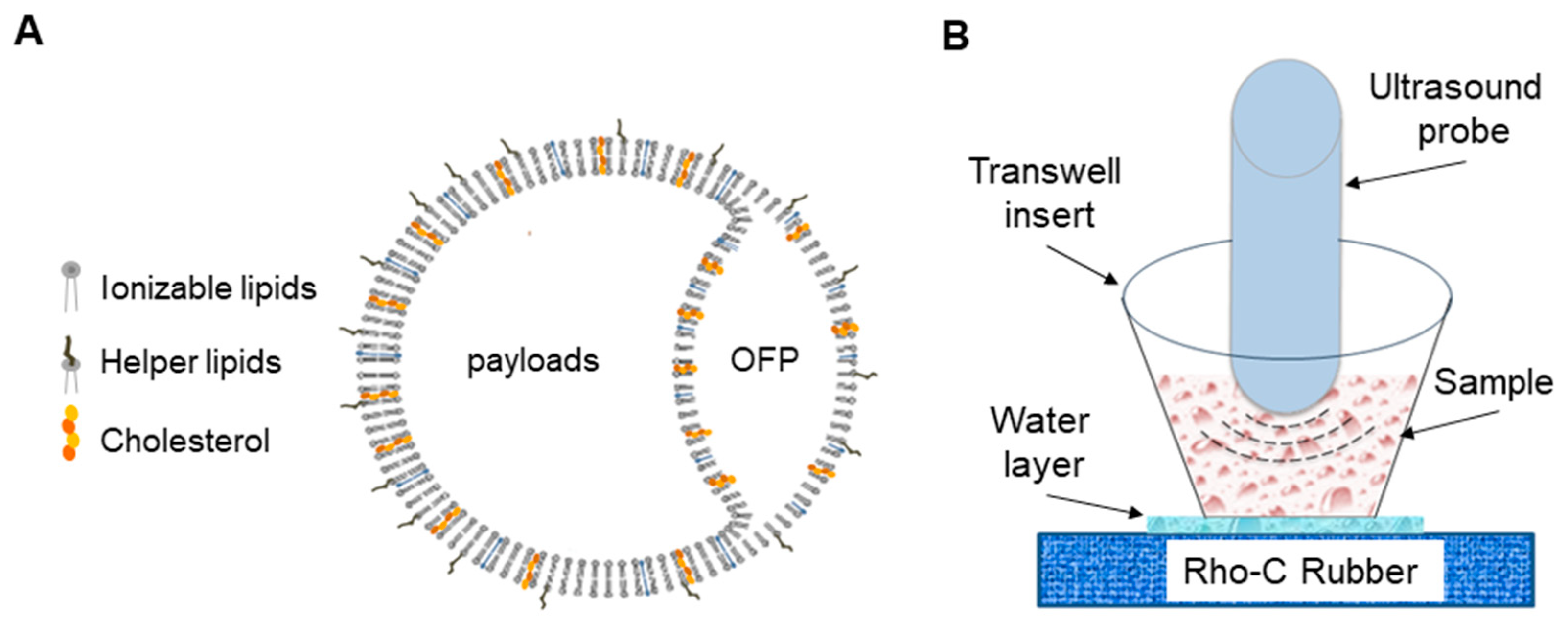 Pharmaceutics 16 00343 g001 Pharmaceutics 16 00343 g001