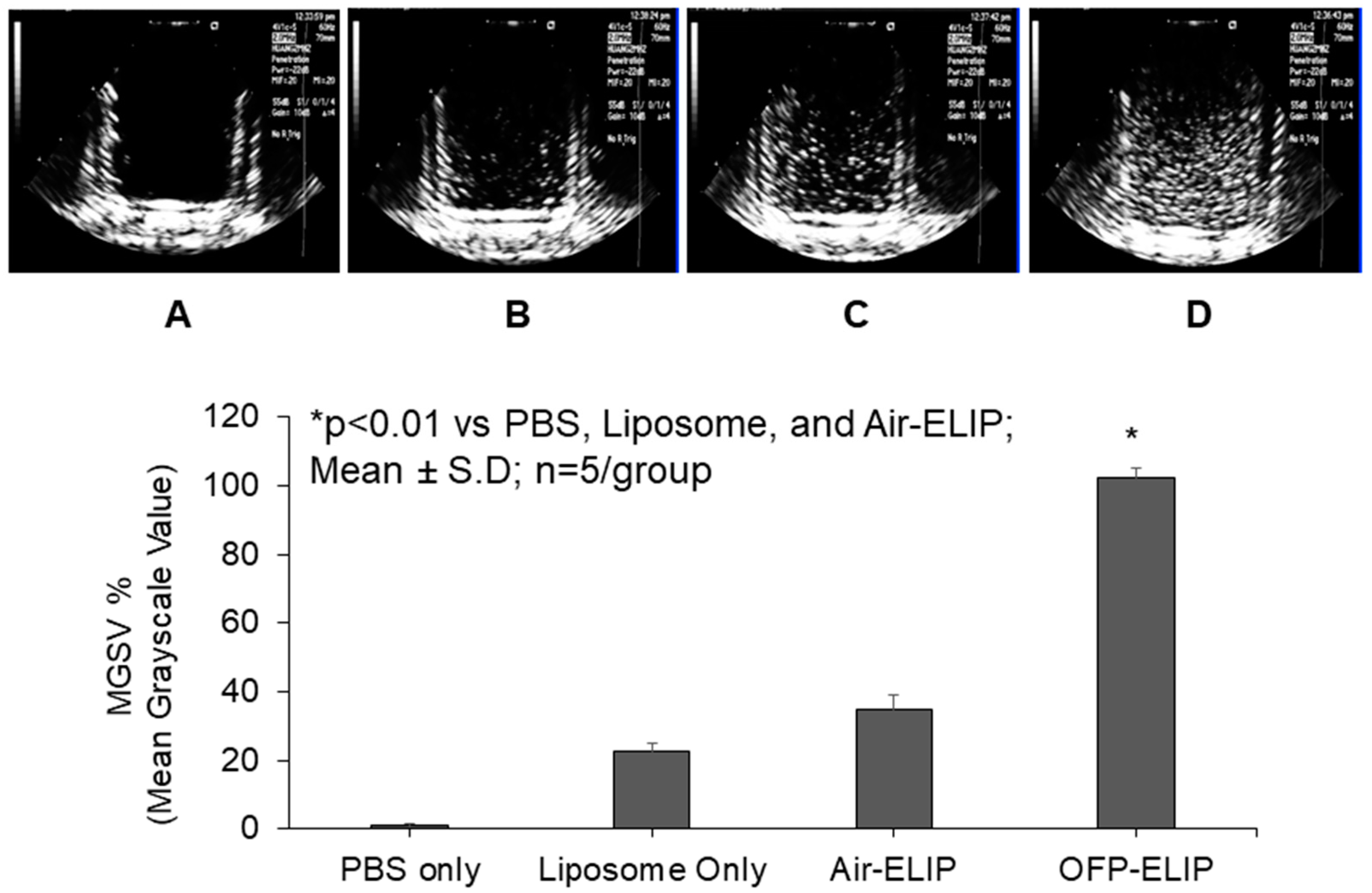 Pharmaceutics 16 00343 g002 Pharmaceutics 16 00343 g002