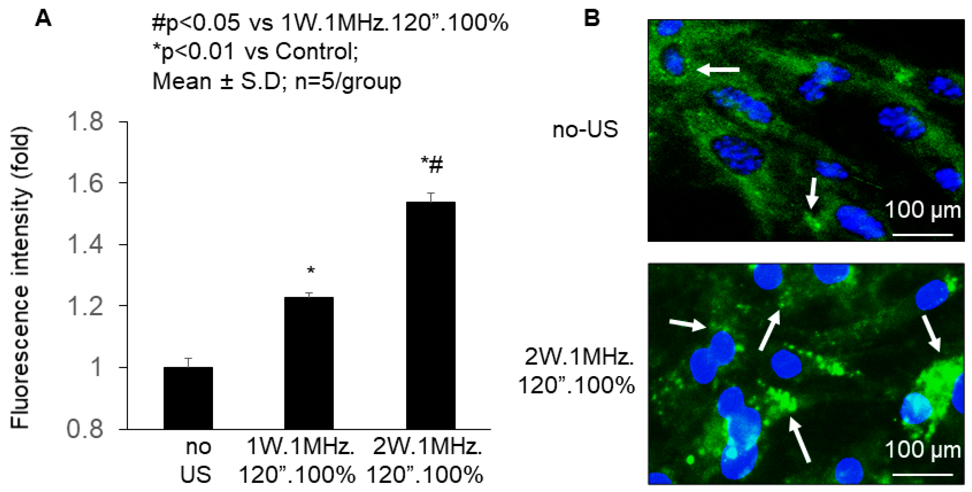 Pharmaceutics 16 00343 g003 Pharmaceutics 16 00343 g003