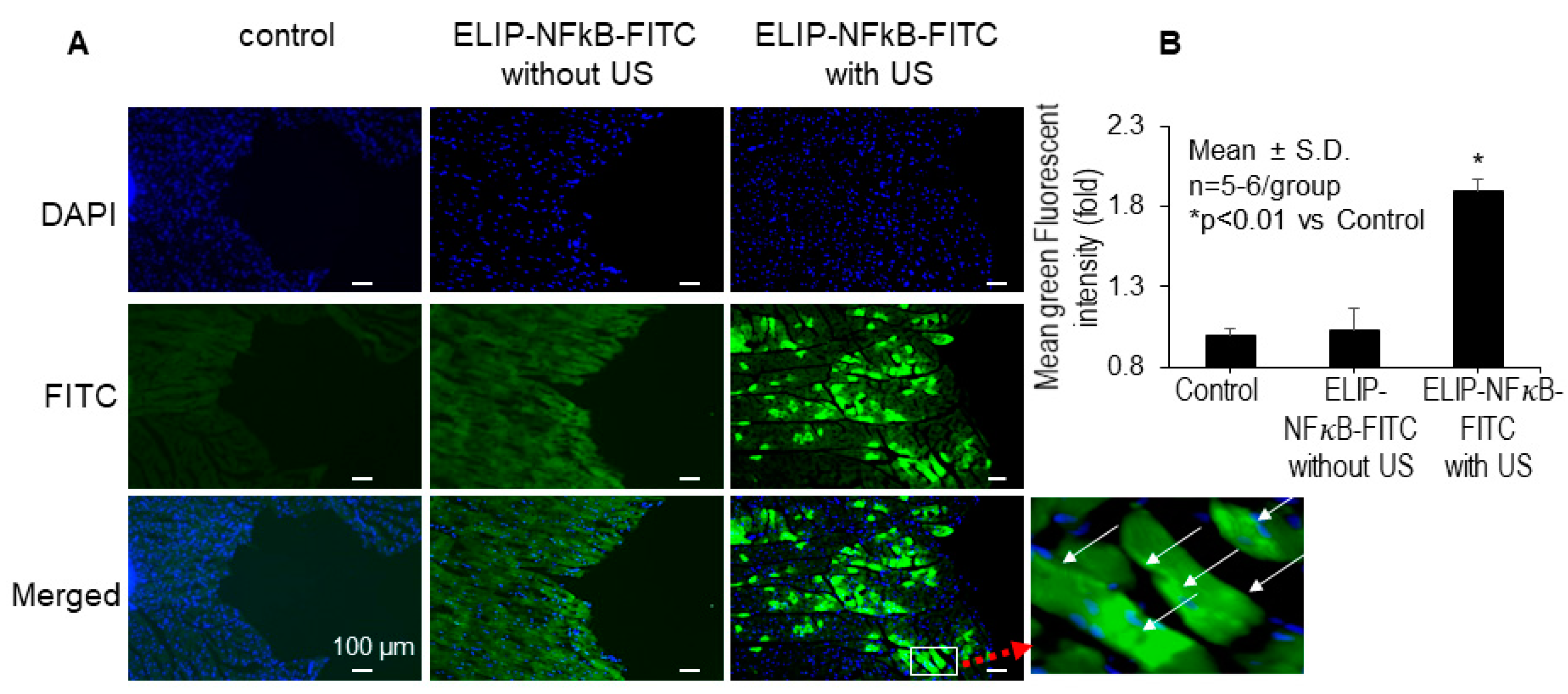 Pharmaceutics 16 00343 g004 Pharmaceutics 16 00343 g004