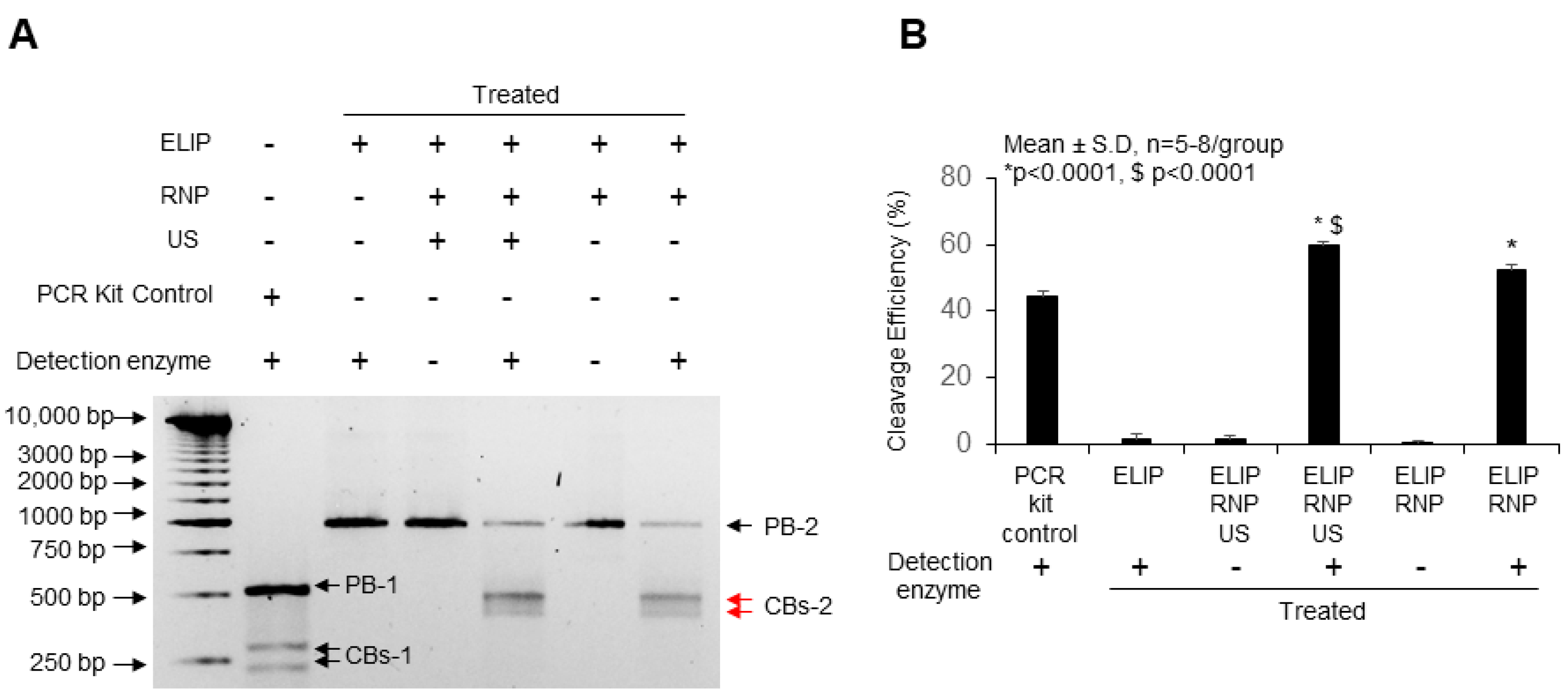 Pharmaceutics 16 00343 g006 Pharmaceutics 16 00343 g006