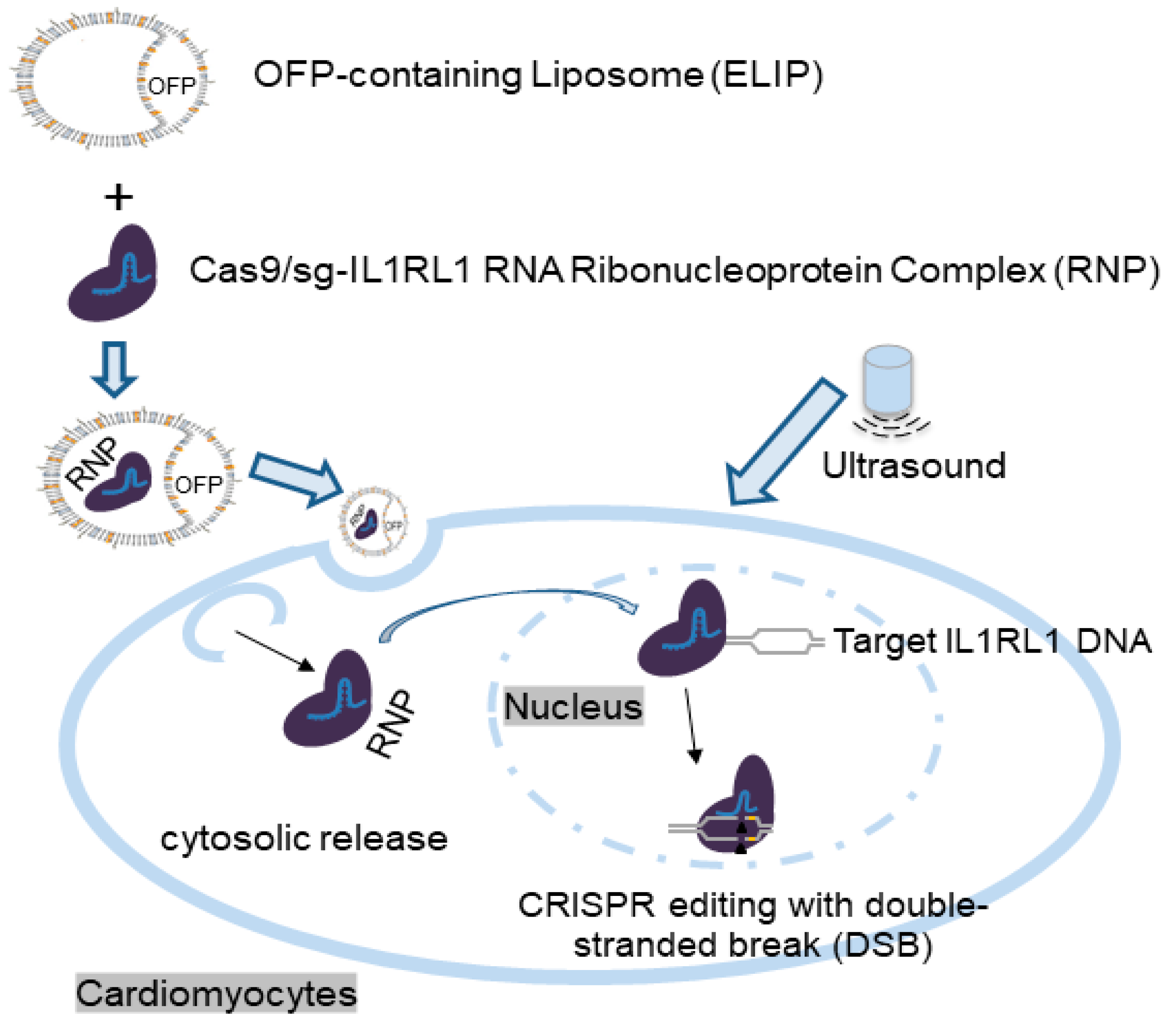 Pharmaceutics 16 00343 g007 Pharmaceutics 16 00343 g007