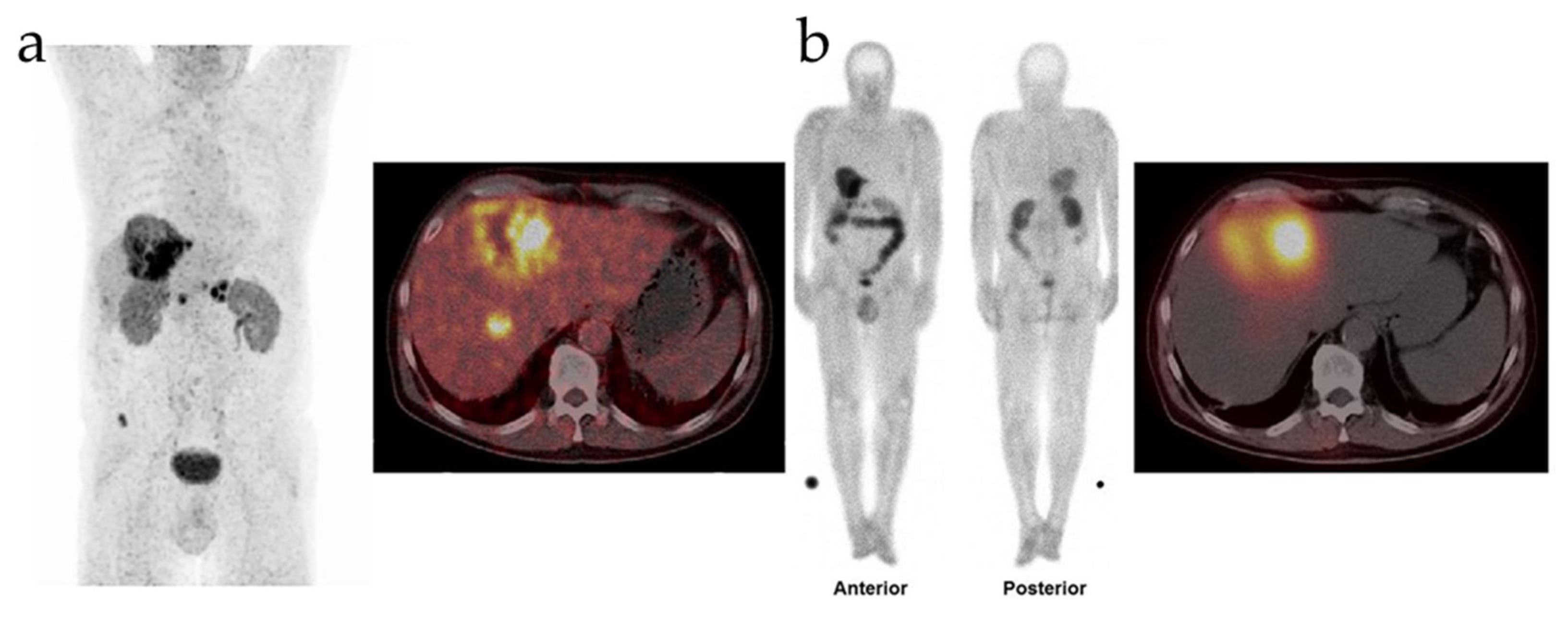 Pharmaceutics 16 00345 g003