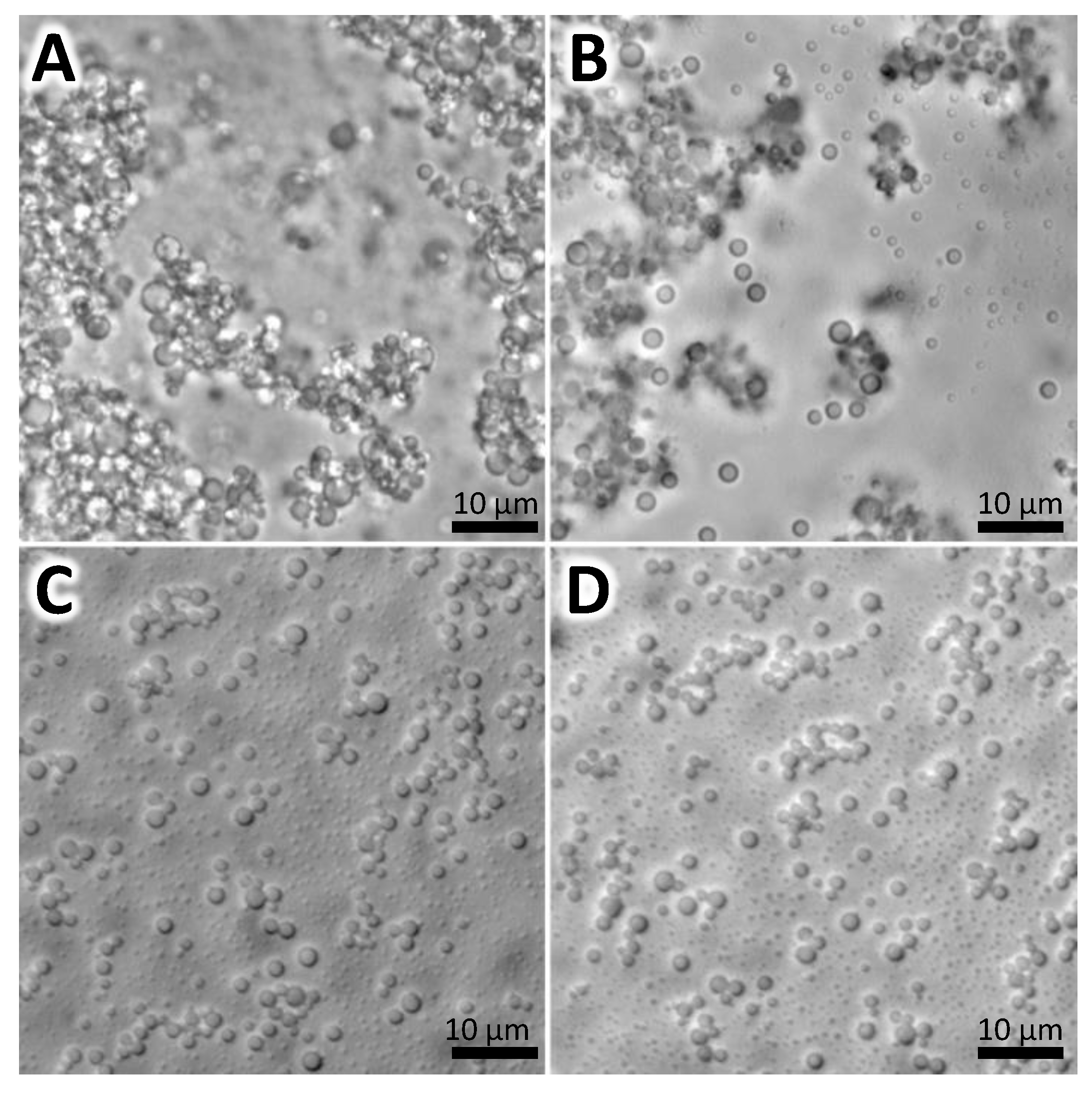 Pharmaceutics 16 00355 g001