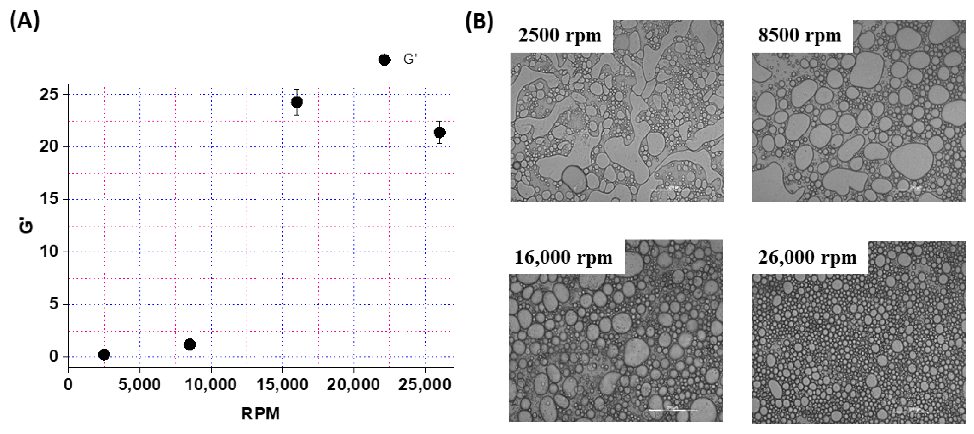 Pharmaceutics 16 00356 g004 Pharmaceutics 16 00356 g004