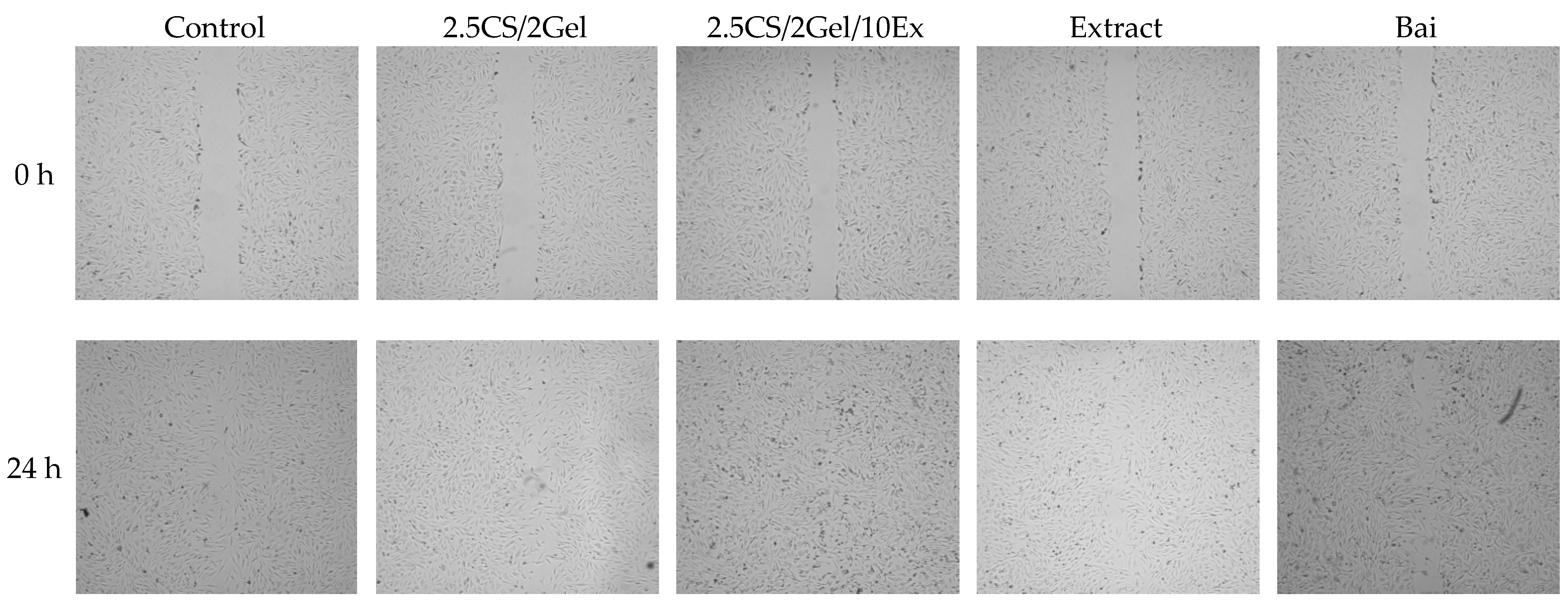 Pharmaceutics 16 00359 g007