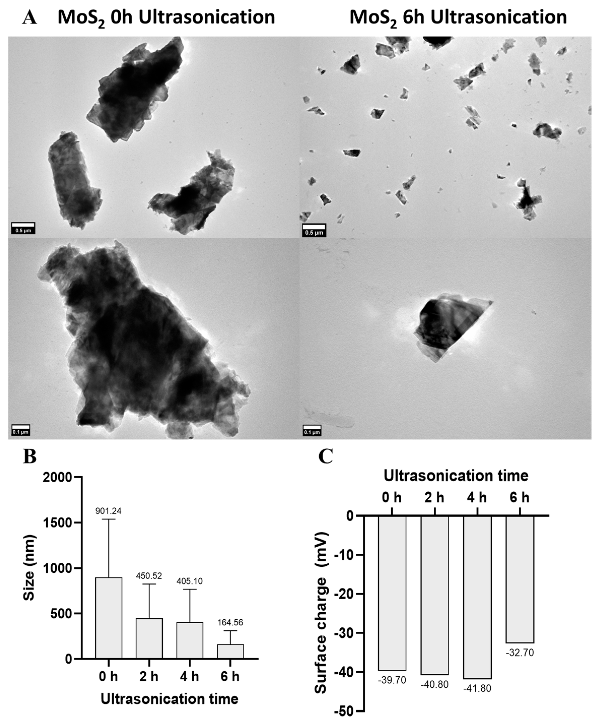 Pharmaceutics 16 00360 g001