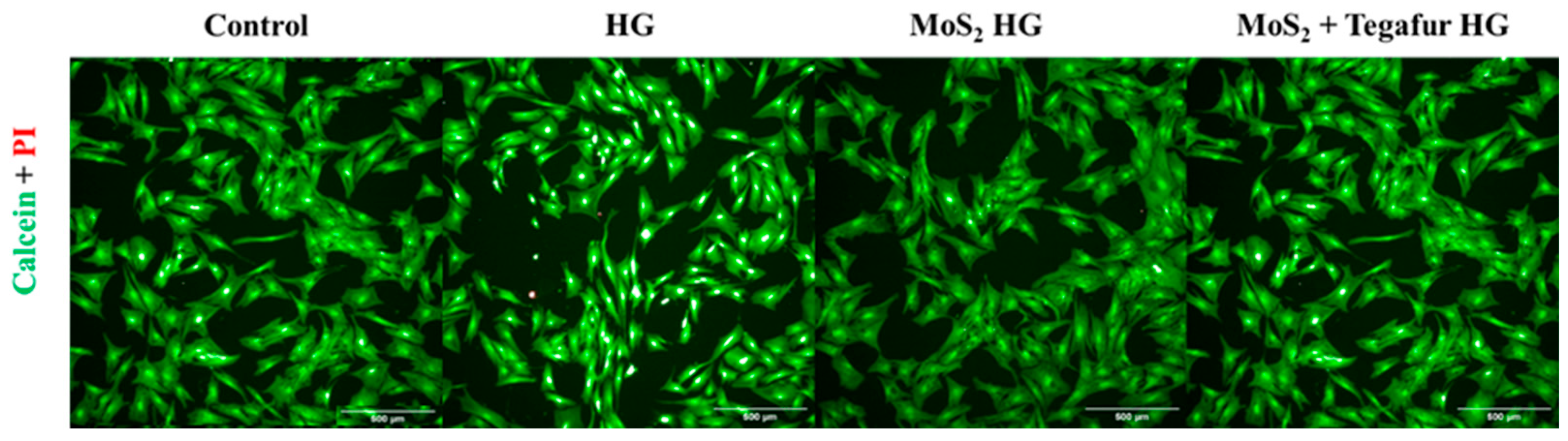 Pharmaceutics 16 00360 g009