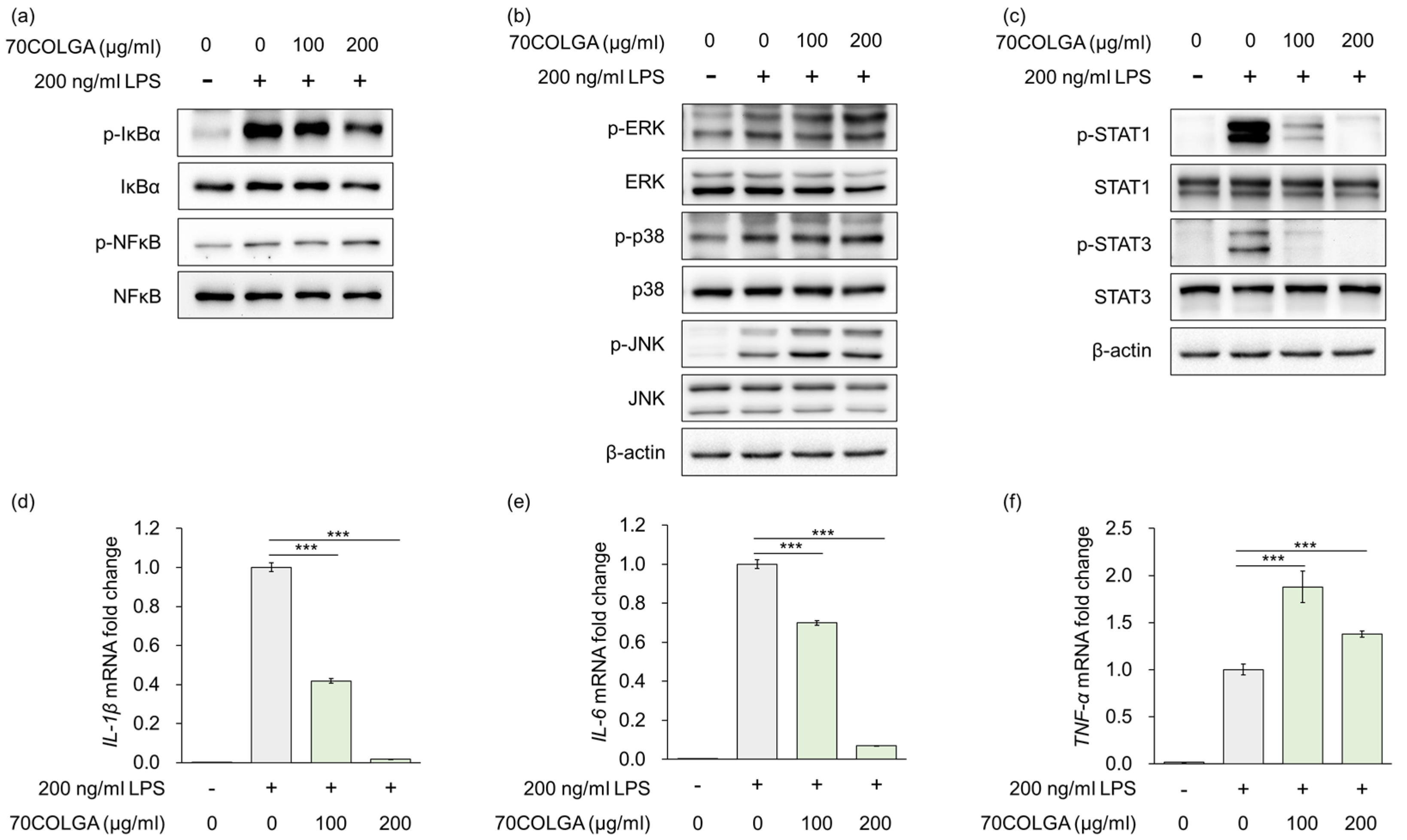 Pharmaceutics 16 00365 g003