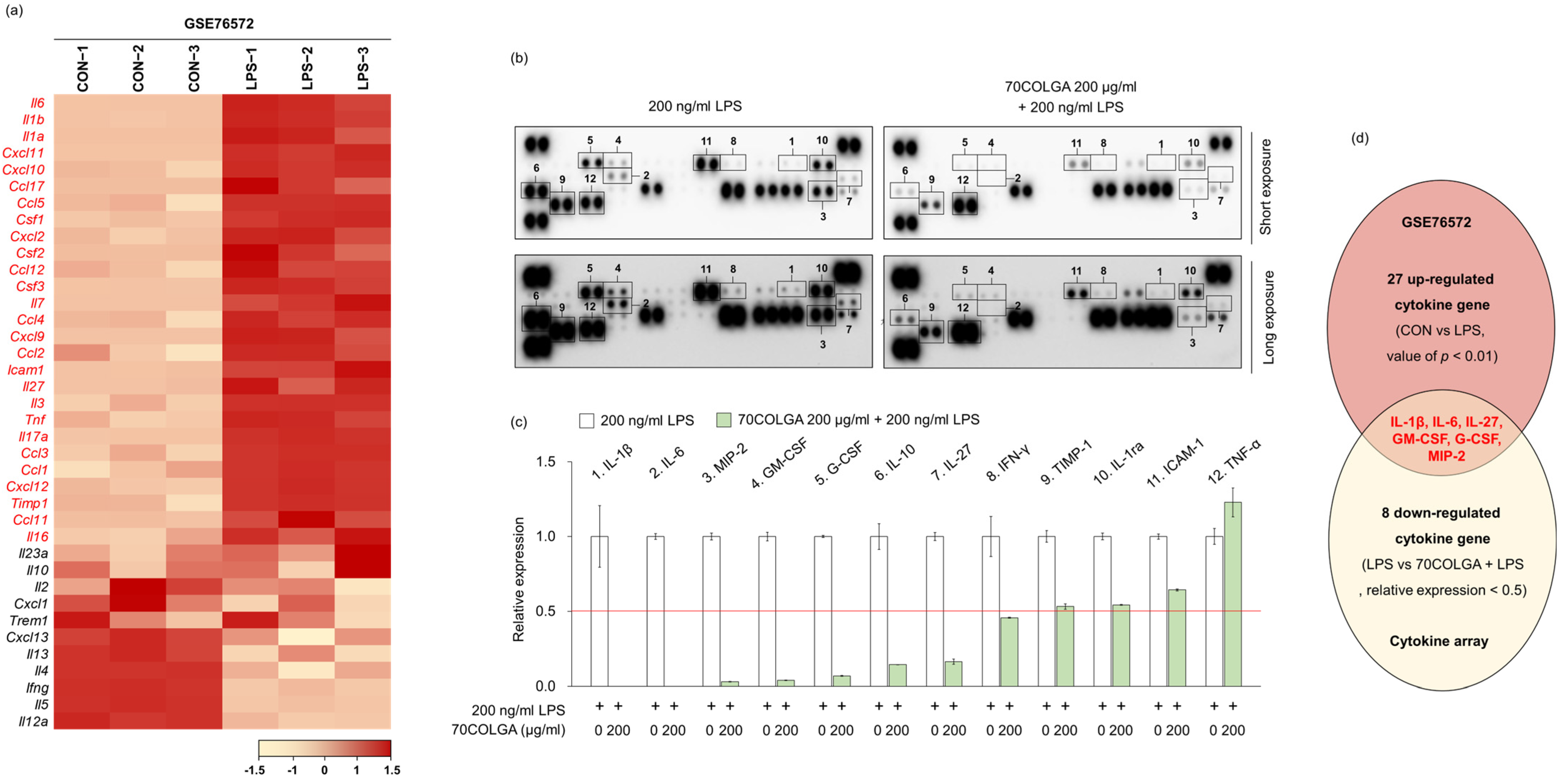 Pharmaceutics 16 00365 g004