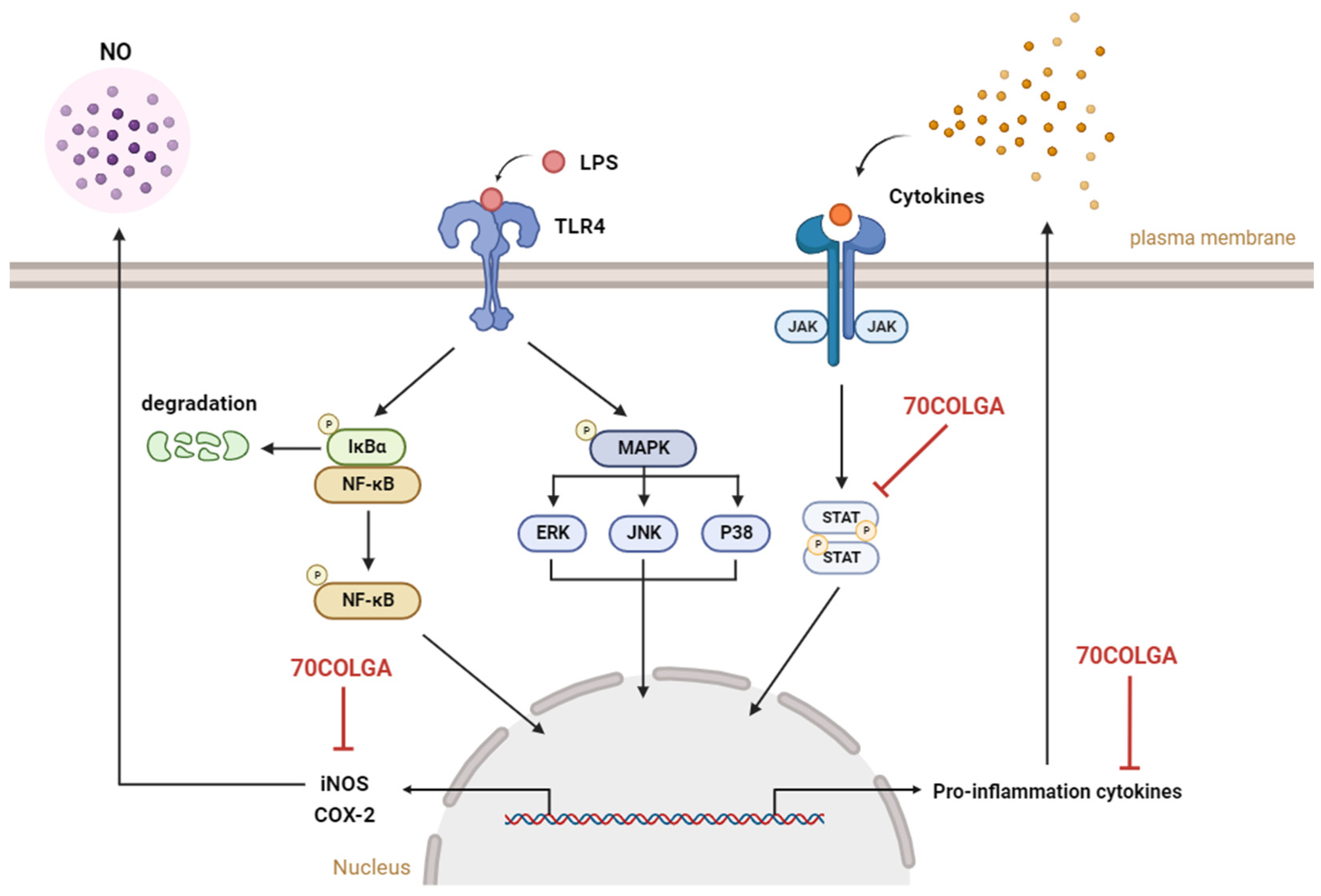Pharmaceutics 16 00365 g006