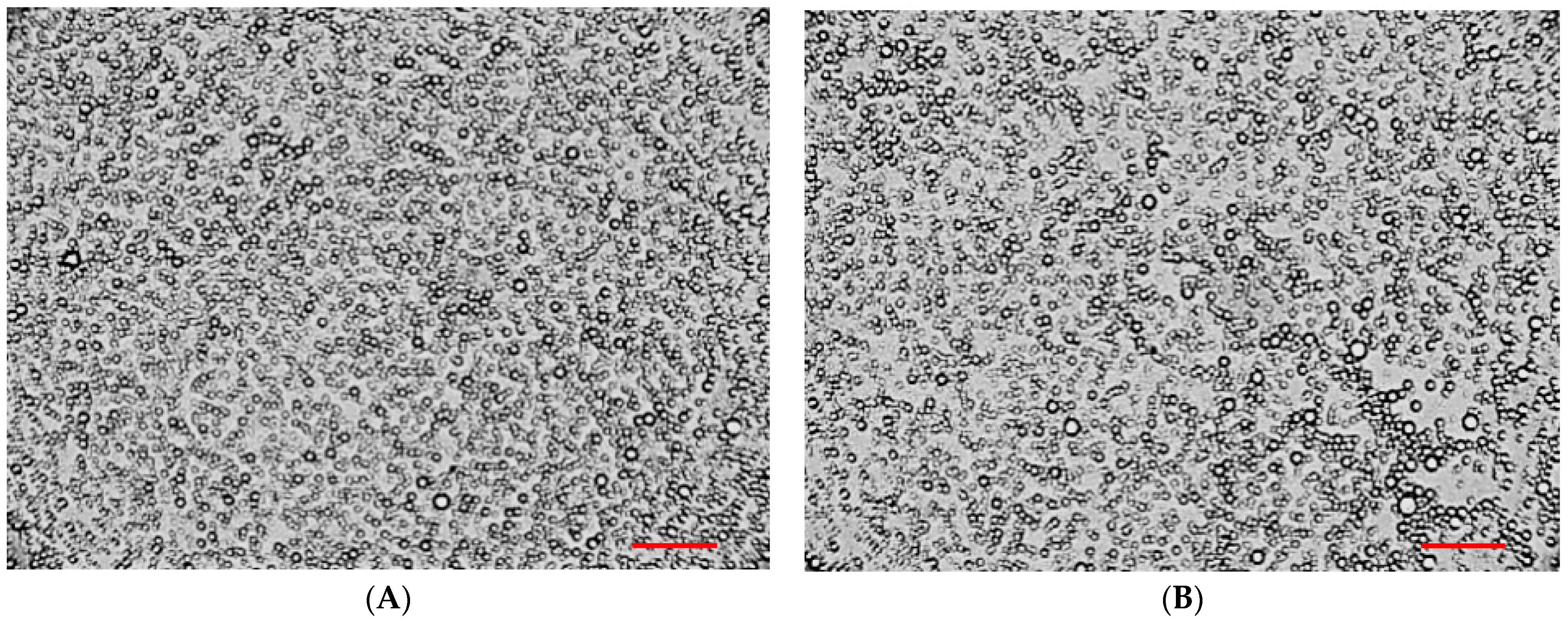 Pharmaceutics 16 00366 g009