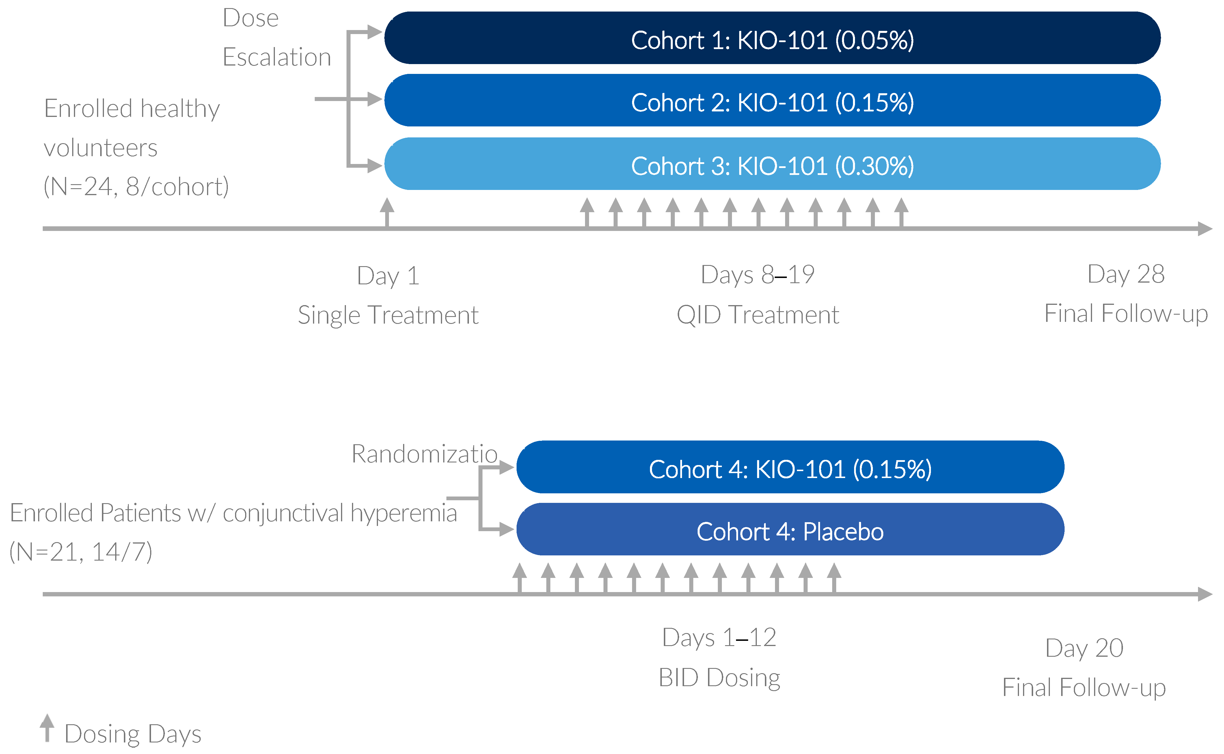 Pharmaceutics 16 00367 g001