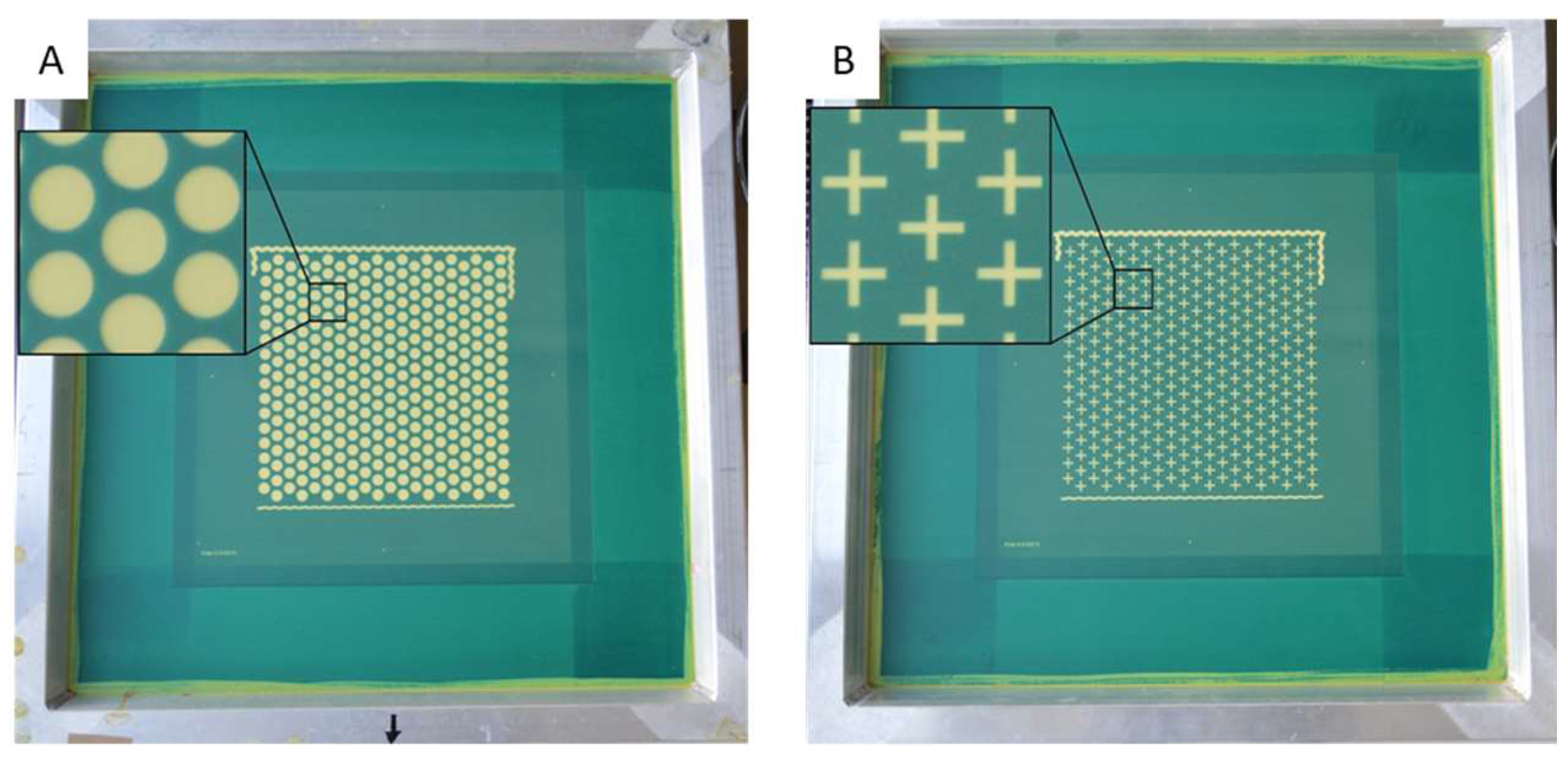 Pharmaceutics 16 00368 g001