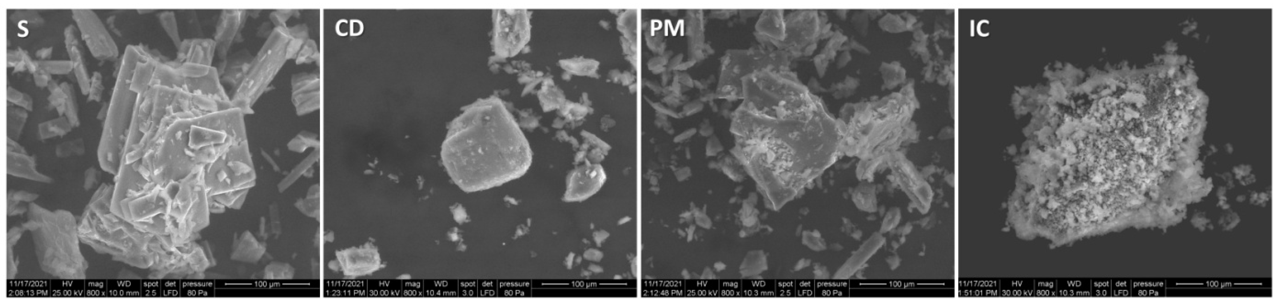 Pharmaceutics 16 00369 g006