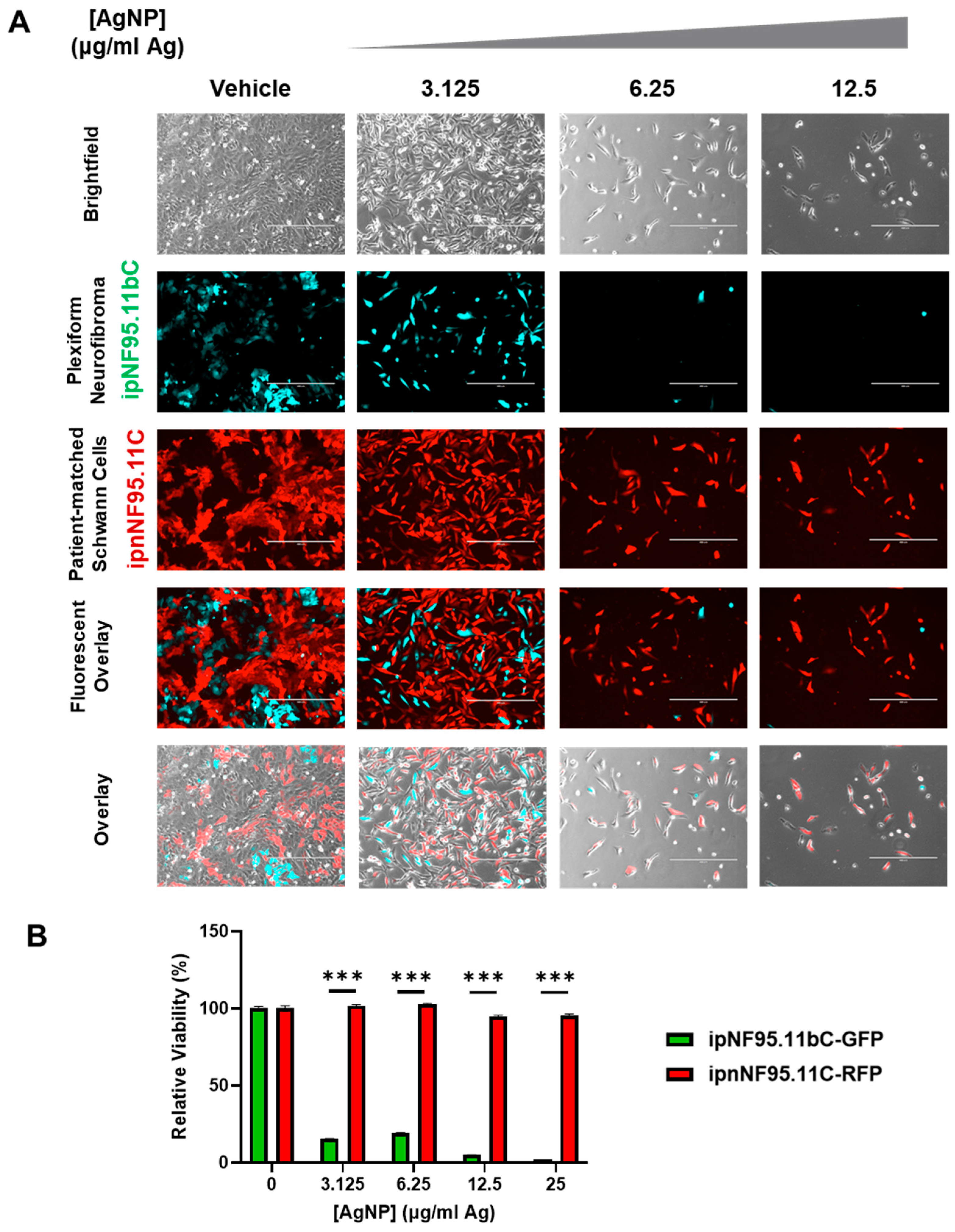 Pharmaceutics 16 00371 g006