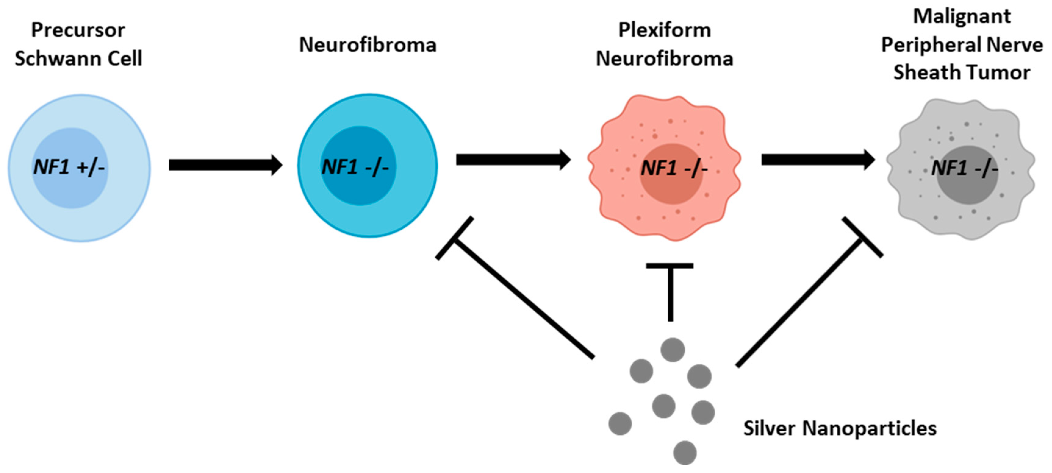 Pharmaceutics 16 00371 g007
