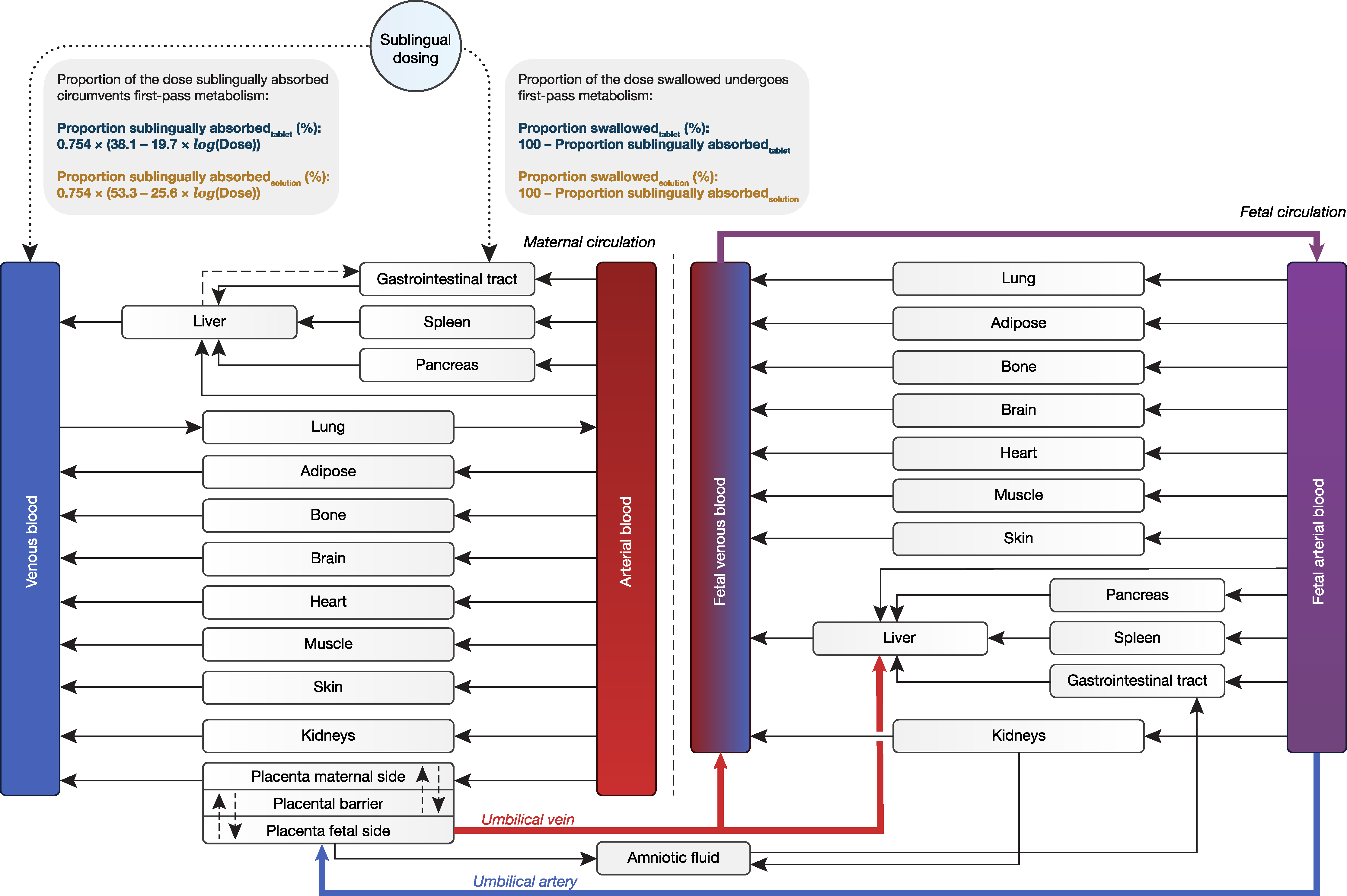 Pharmaceutics 16 00375 g001