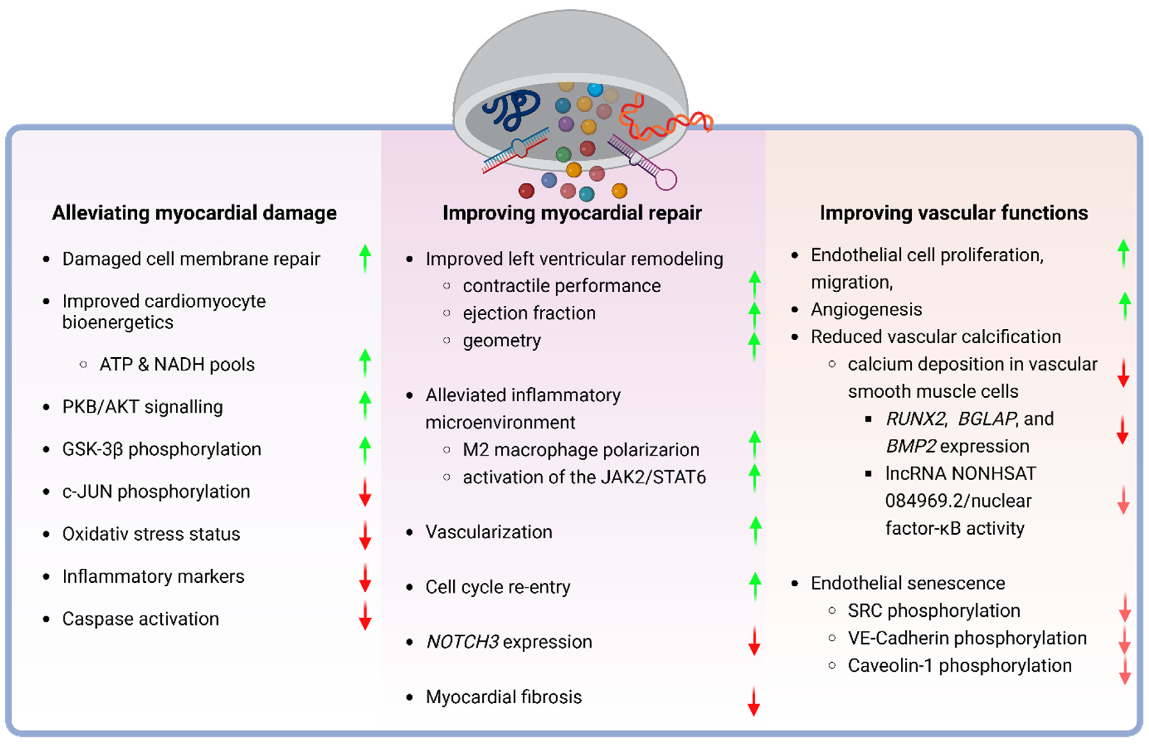 Pharmaceutics 16 00381 g002