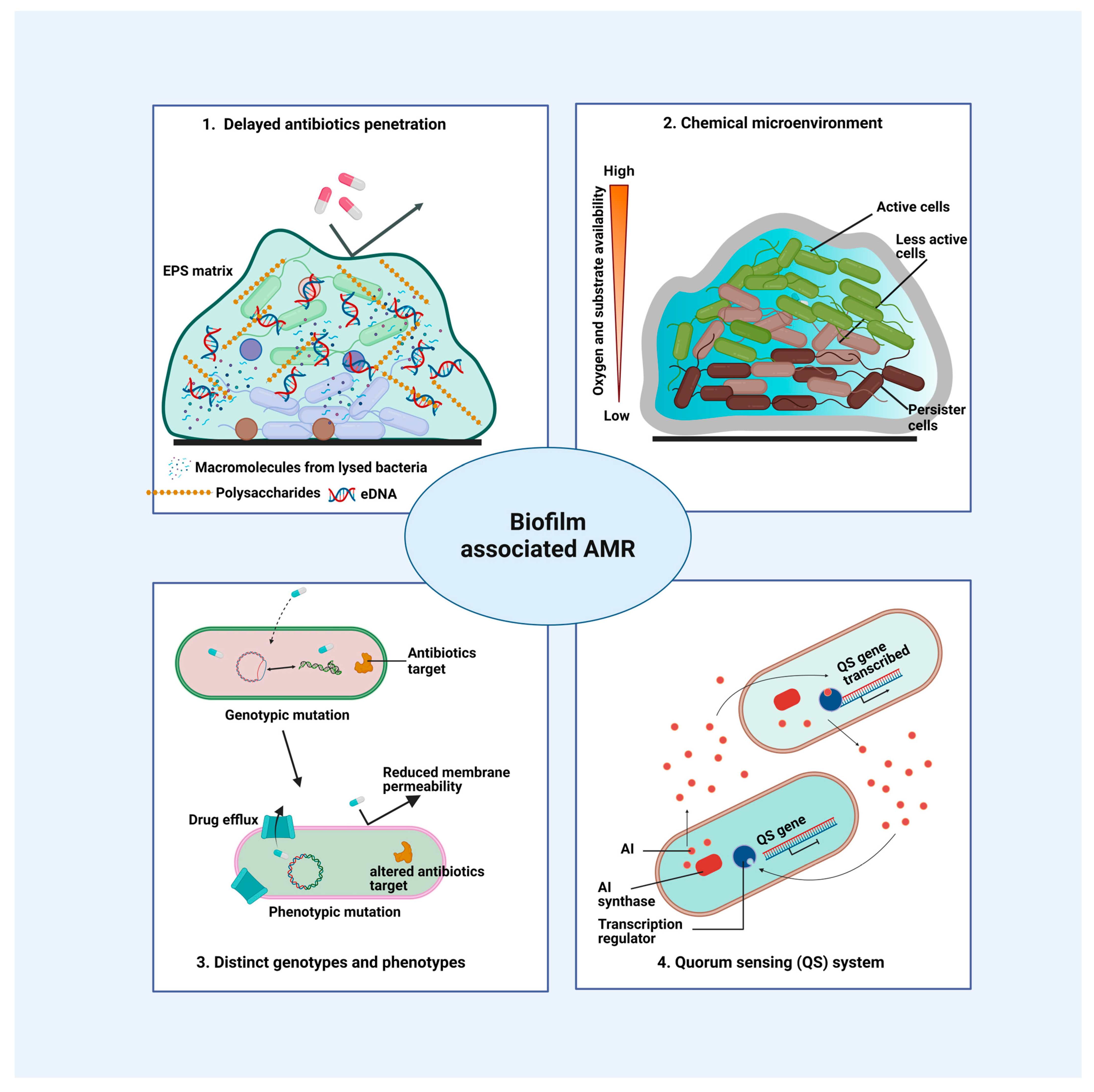 Pharmaceutics 16 00396 g002