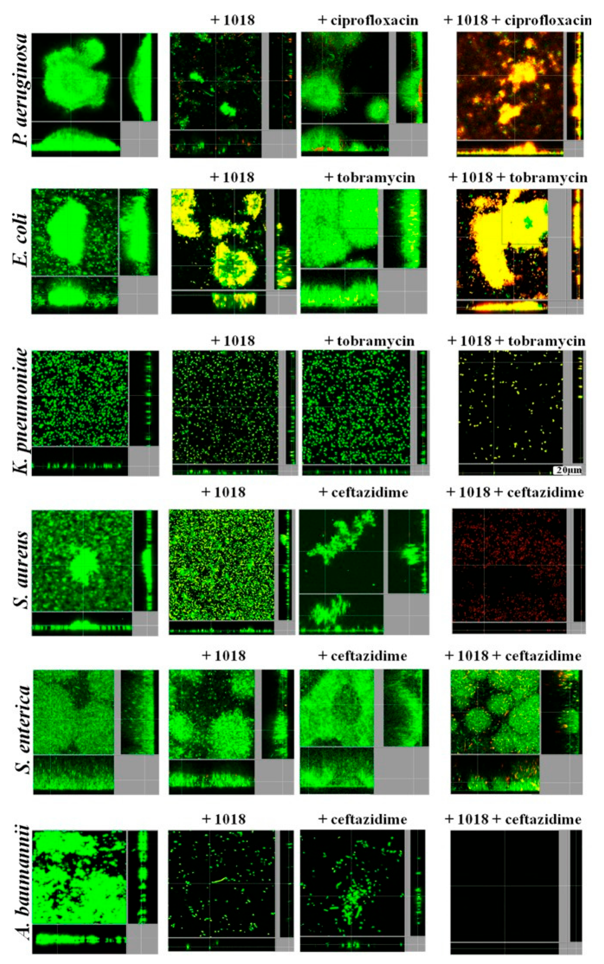 Pharmaceutics 16 00396 g004